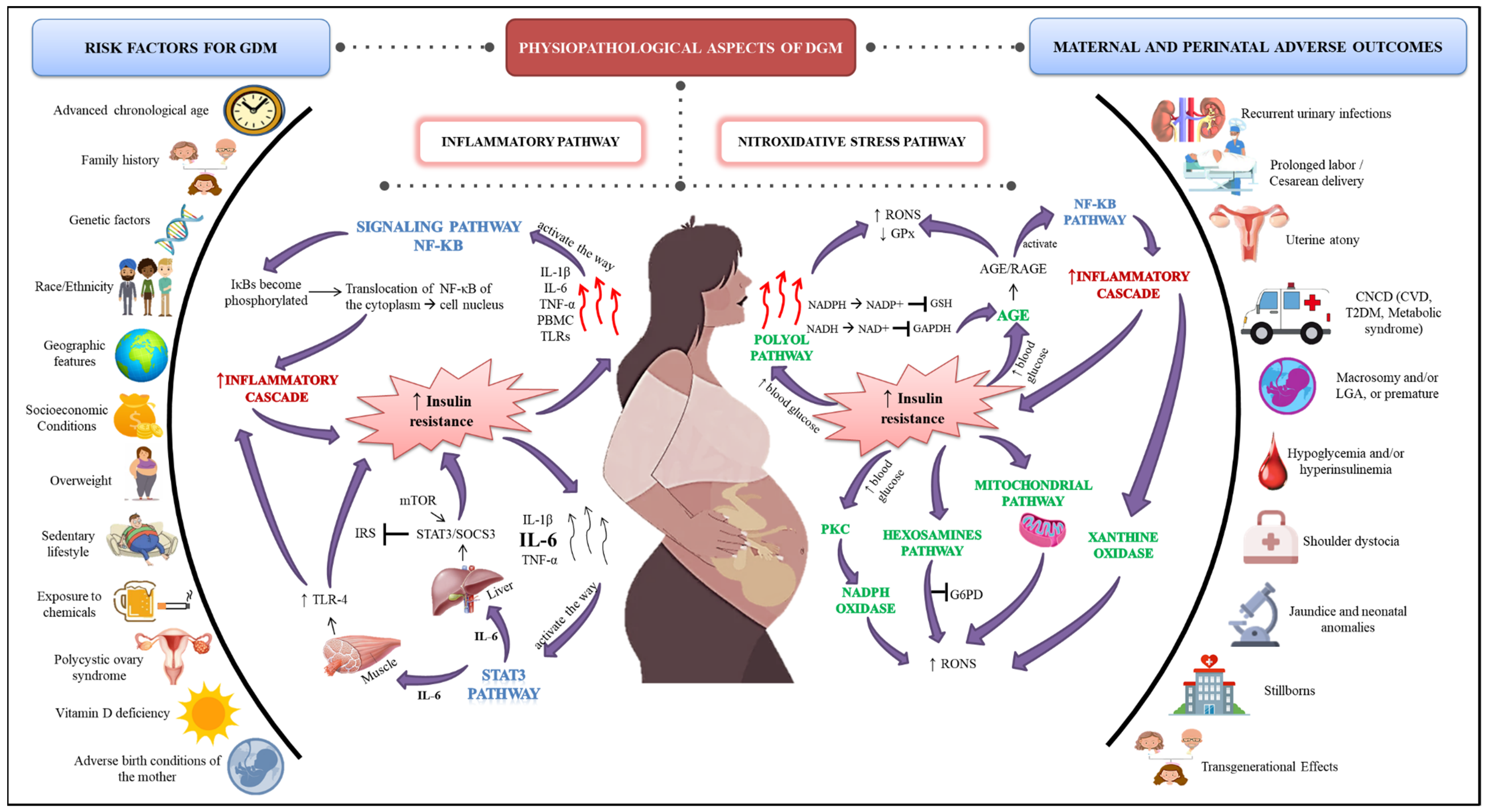 Antioxidants | Free Full-Text | Gestational Diabetes Mellitus: The  Crosslink among Inflammation, Nitroxidative Stress, Intestinal Microbiota  and Alternative Therapies