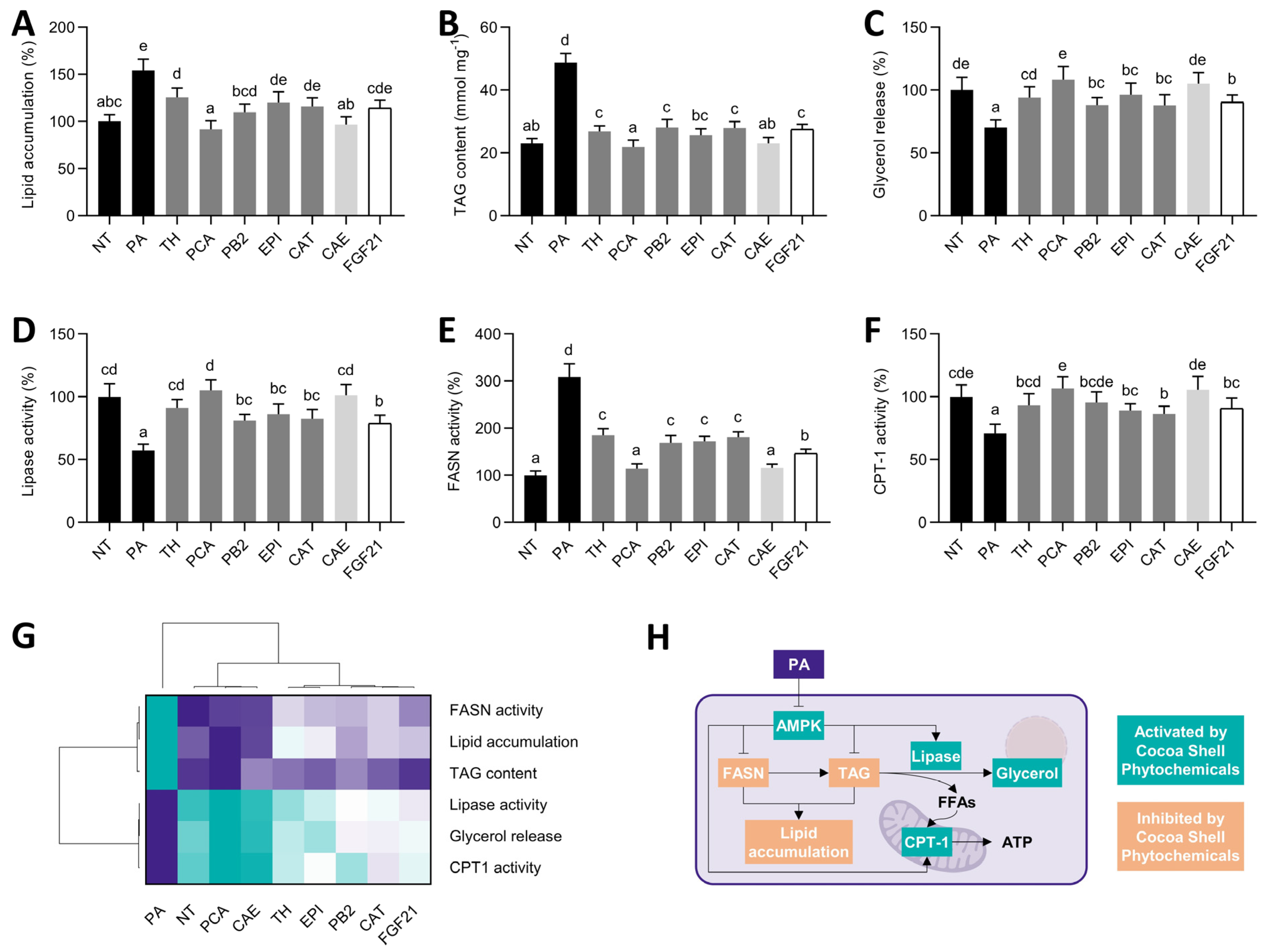 Antioxidants Free Full Text Phytochemicals From The Cocoa Shell Modulate Mitochondrial Function Lipid And Glucose Metabolism In Hepatocytes Via Activation Of Fgf21 Erk Akt And Mtor Pathways Html