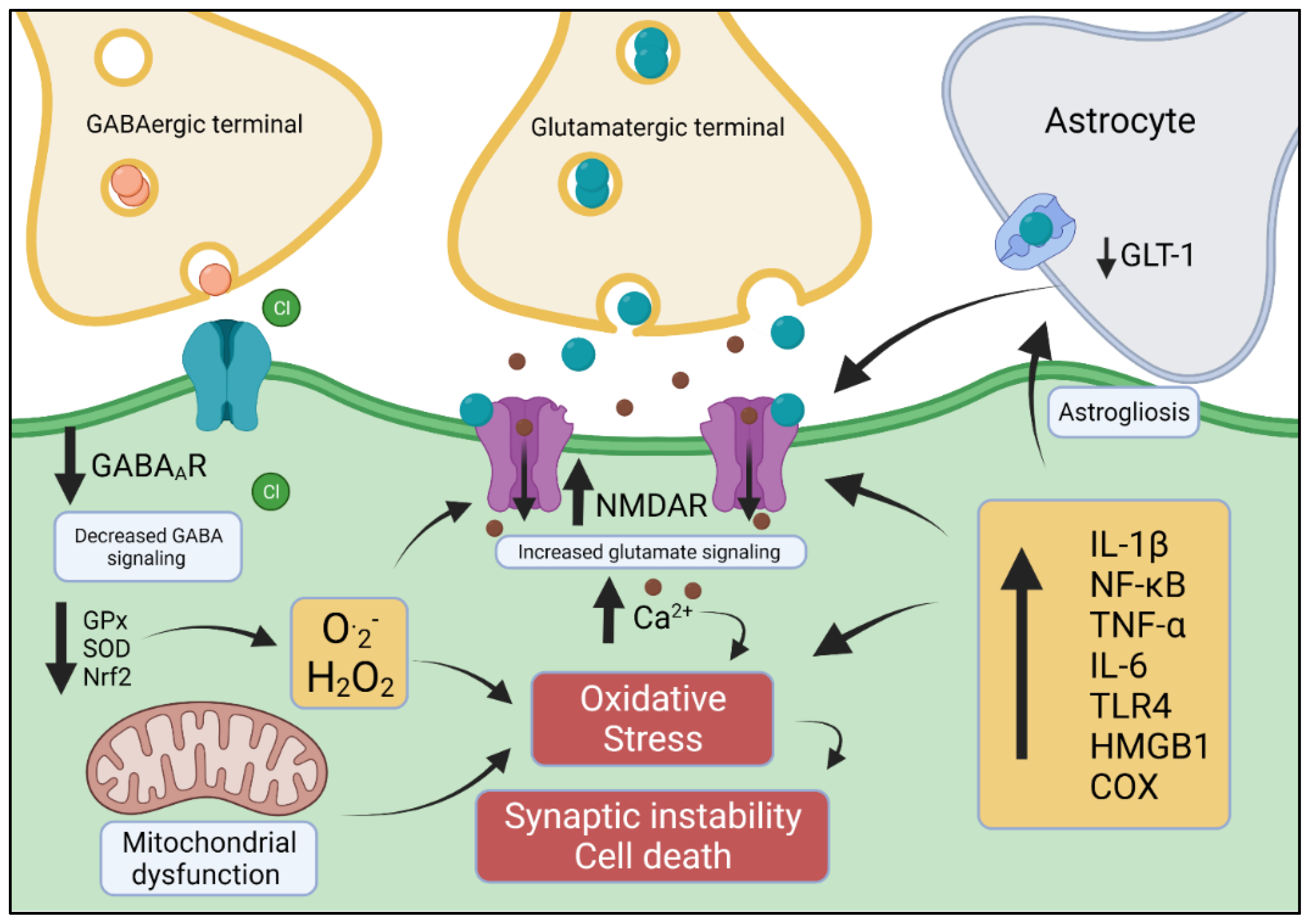 Antioxidants 11 00157 g001