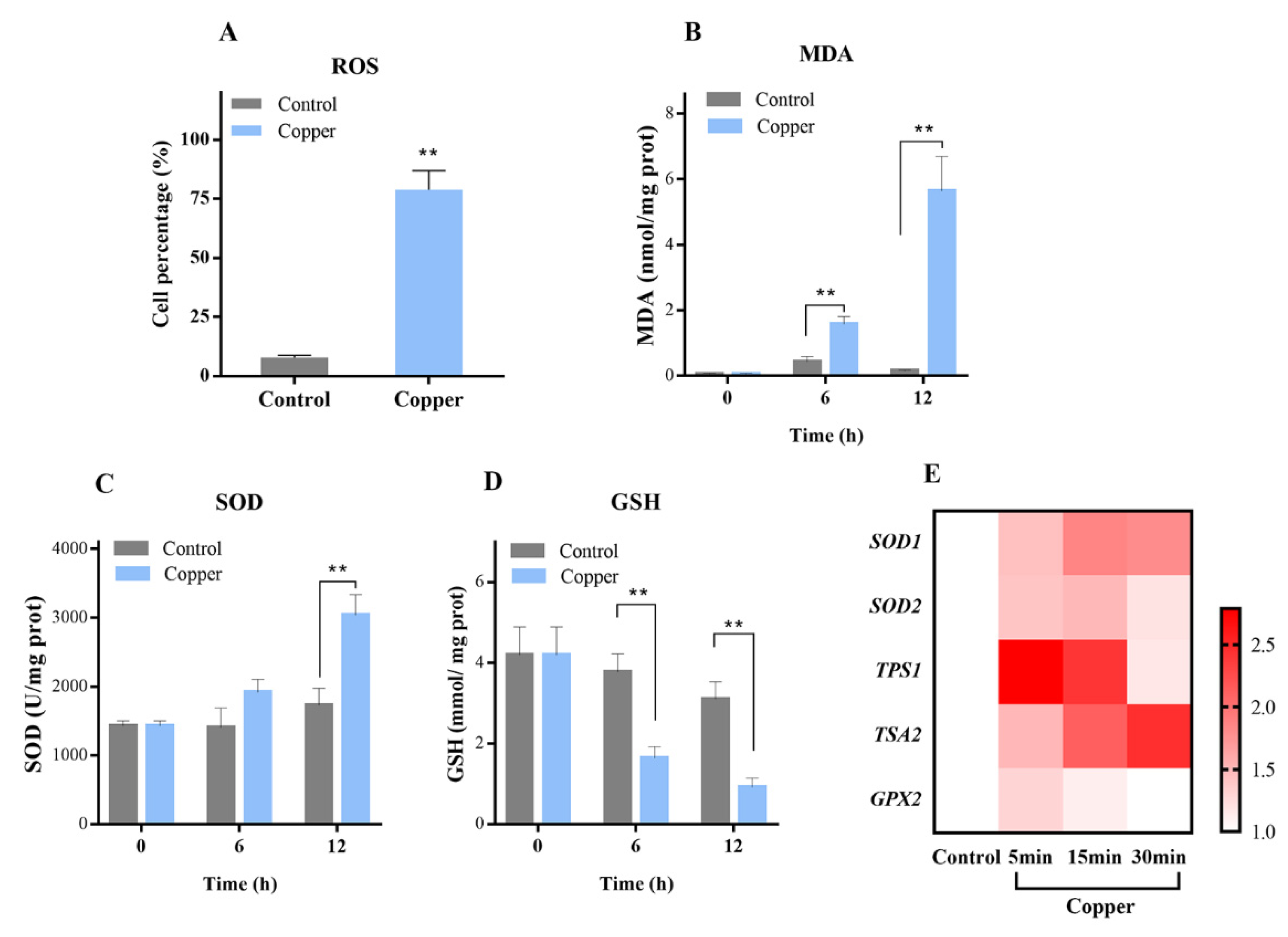 Antioxidants 11 00200 g001