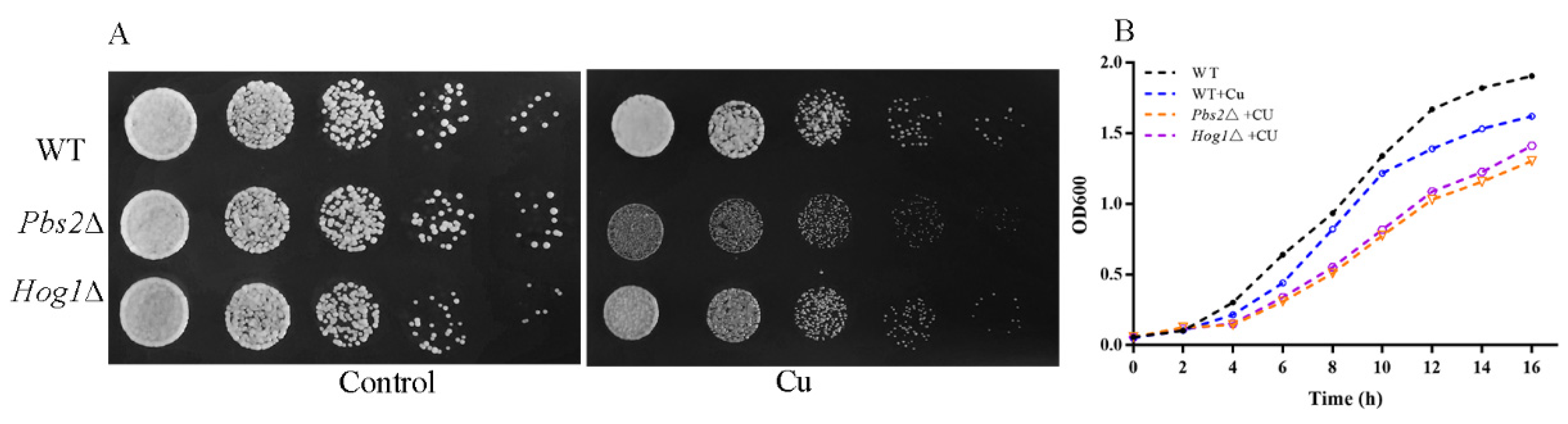 Antioxidants 11 00200 g002