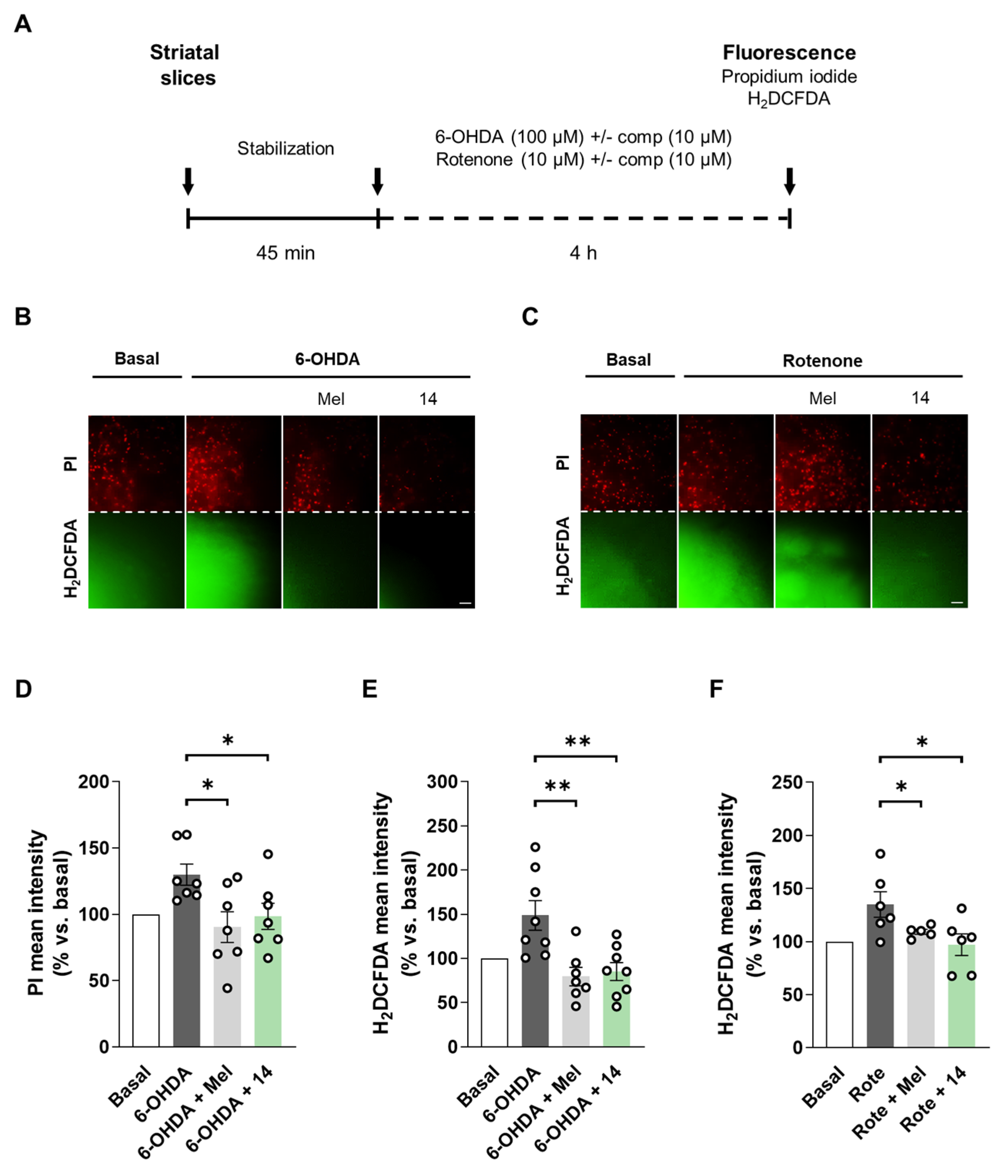 Antioxidants 11 00247 g004