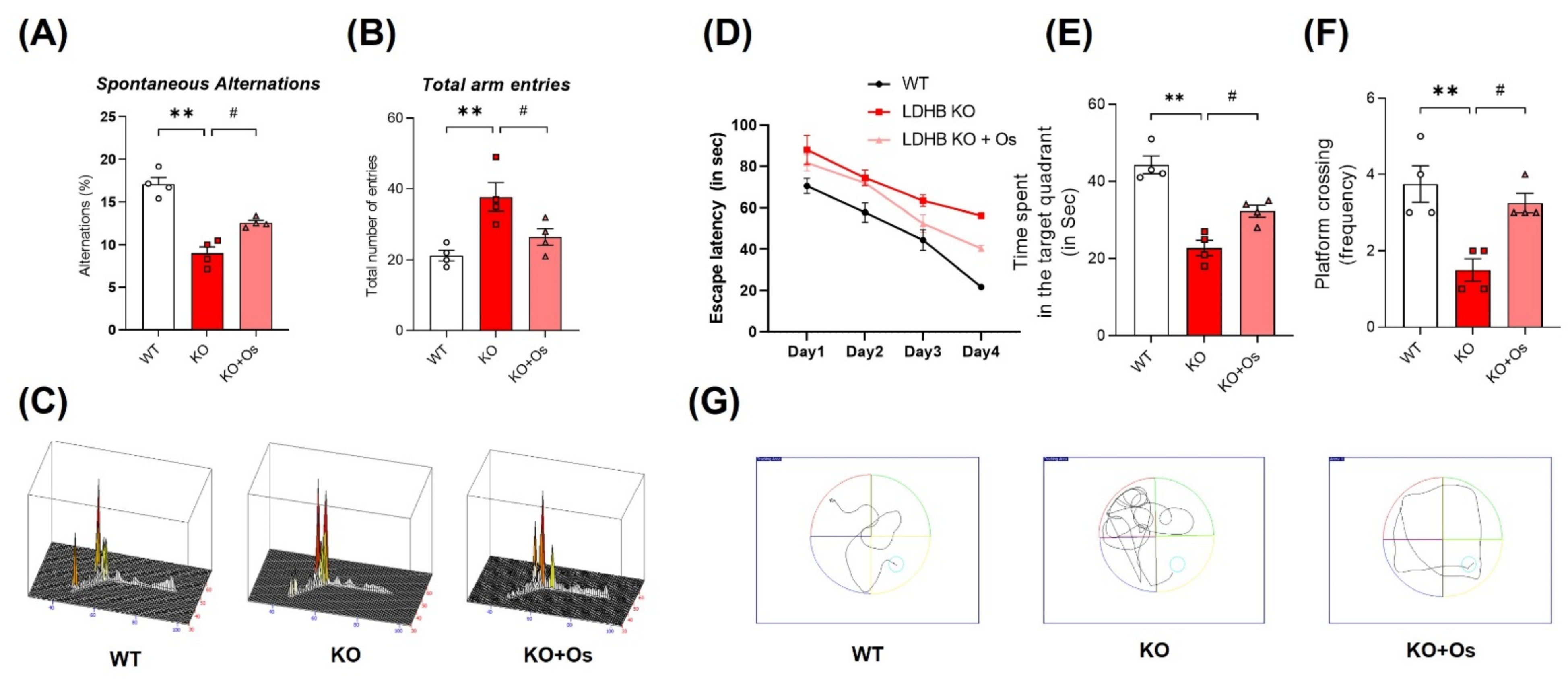 Antioxidants 11 00261 g007