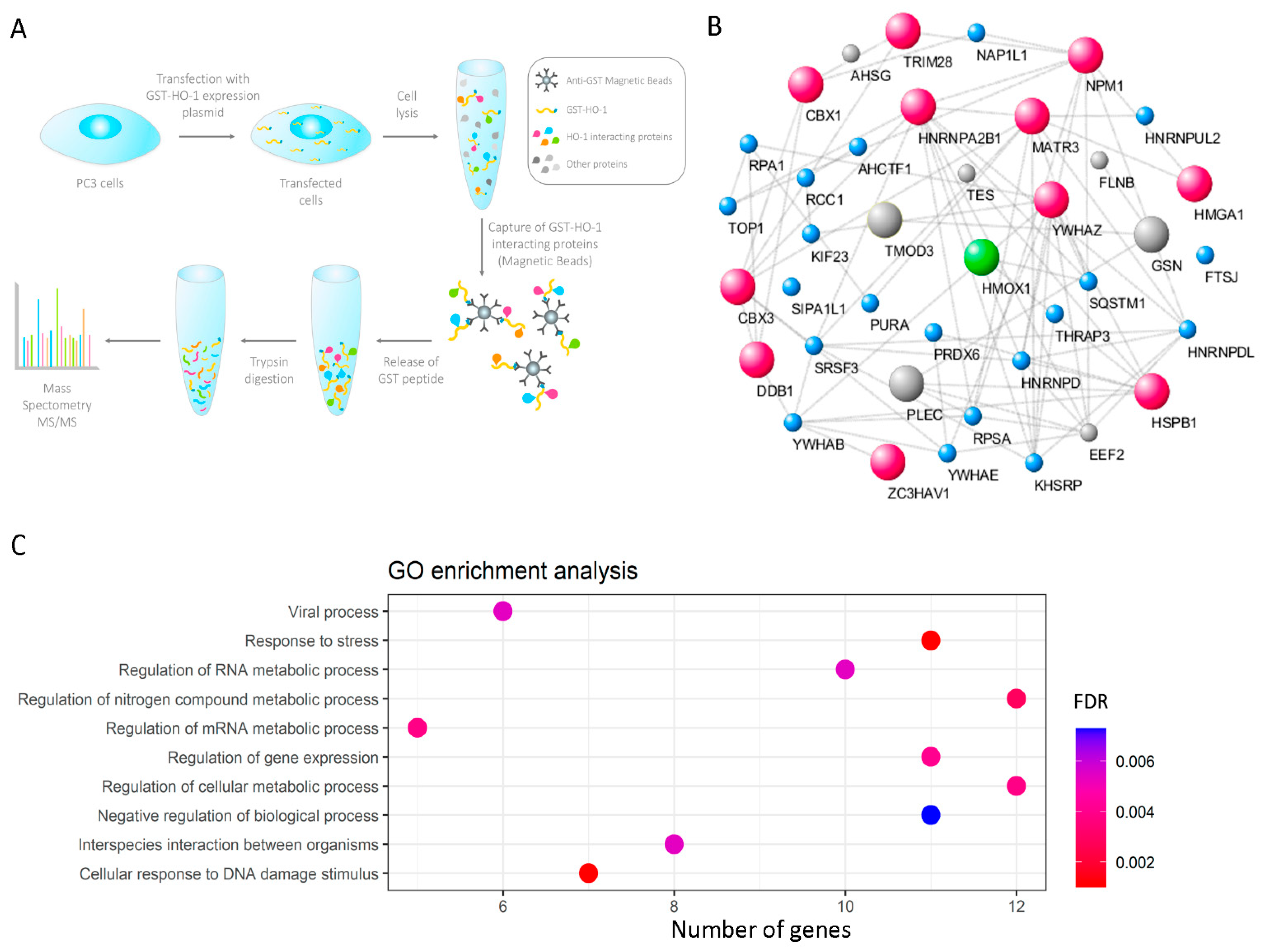 Antioxidants 11 00290 g001