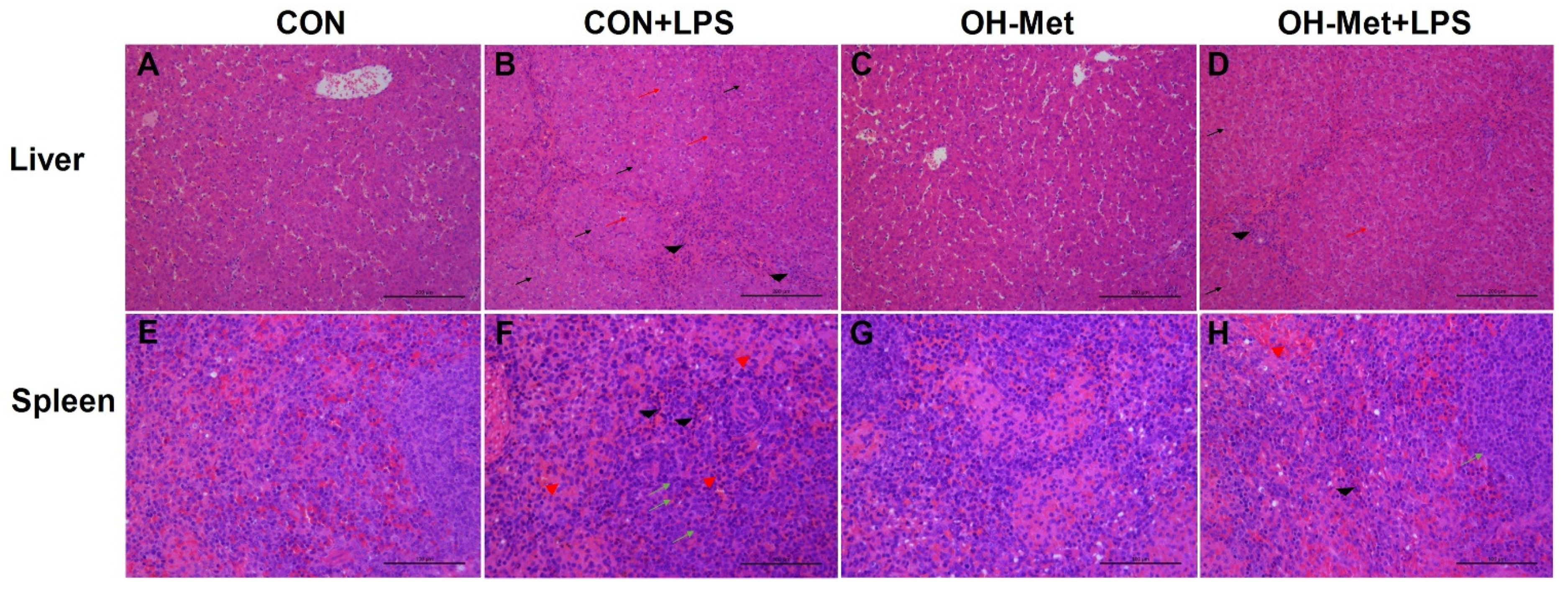 Antioxidants 11 00321 g001