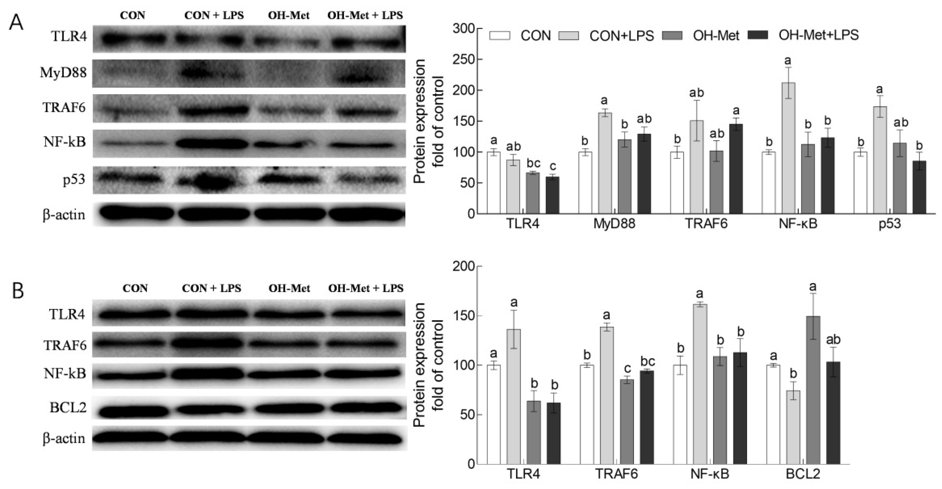 Antioxidants 11 00321 g004