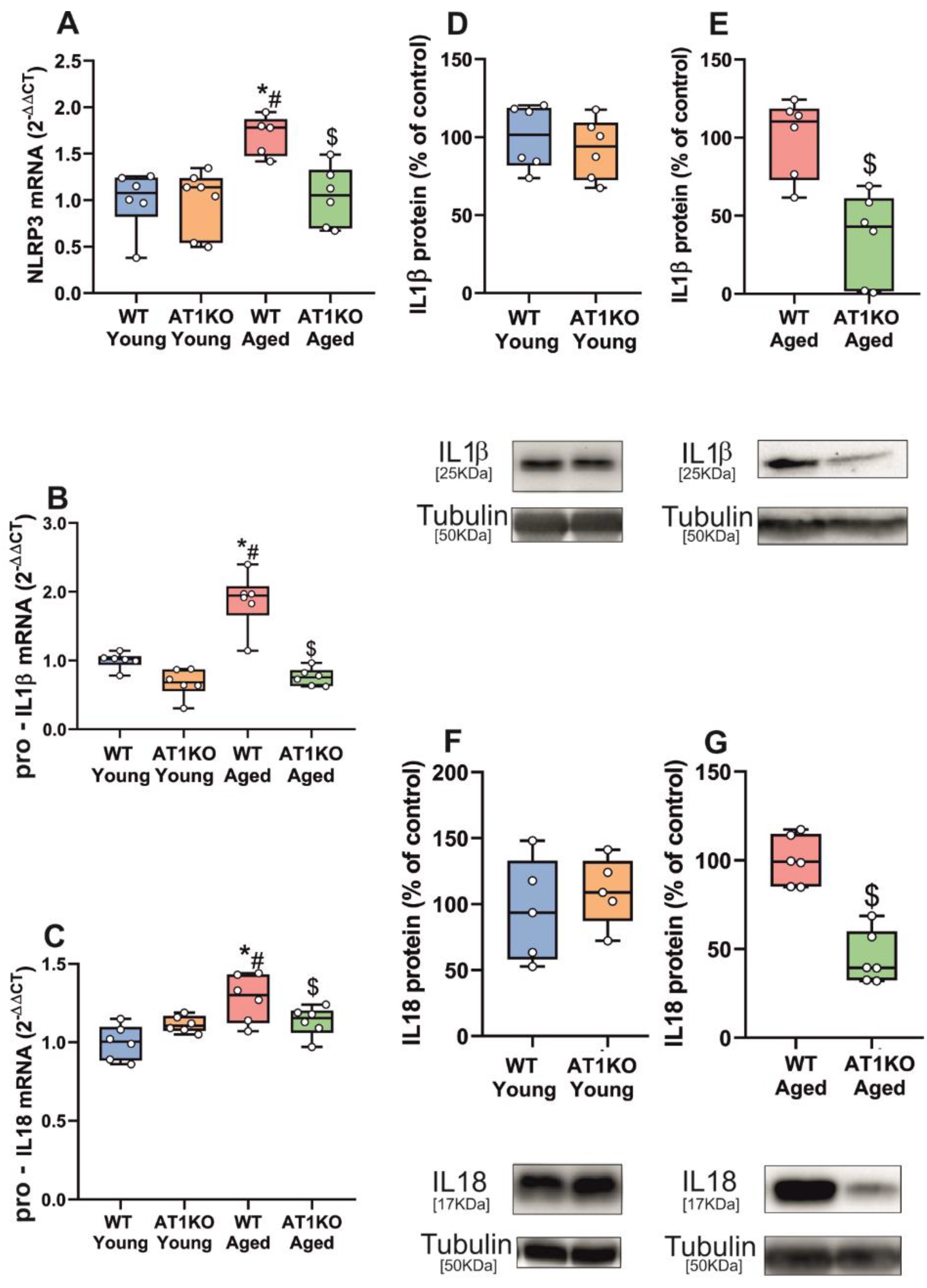 Antioxidants 11 00329 g002 Antioxidants 11 00329 g002