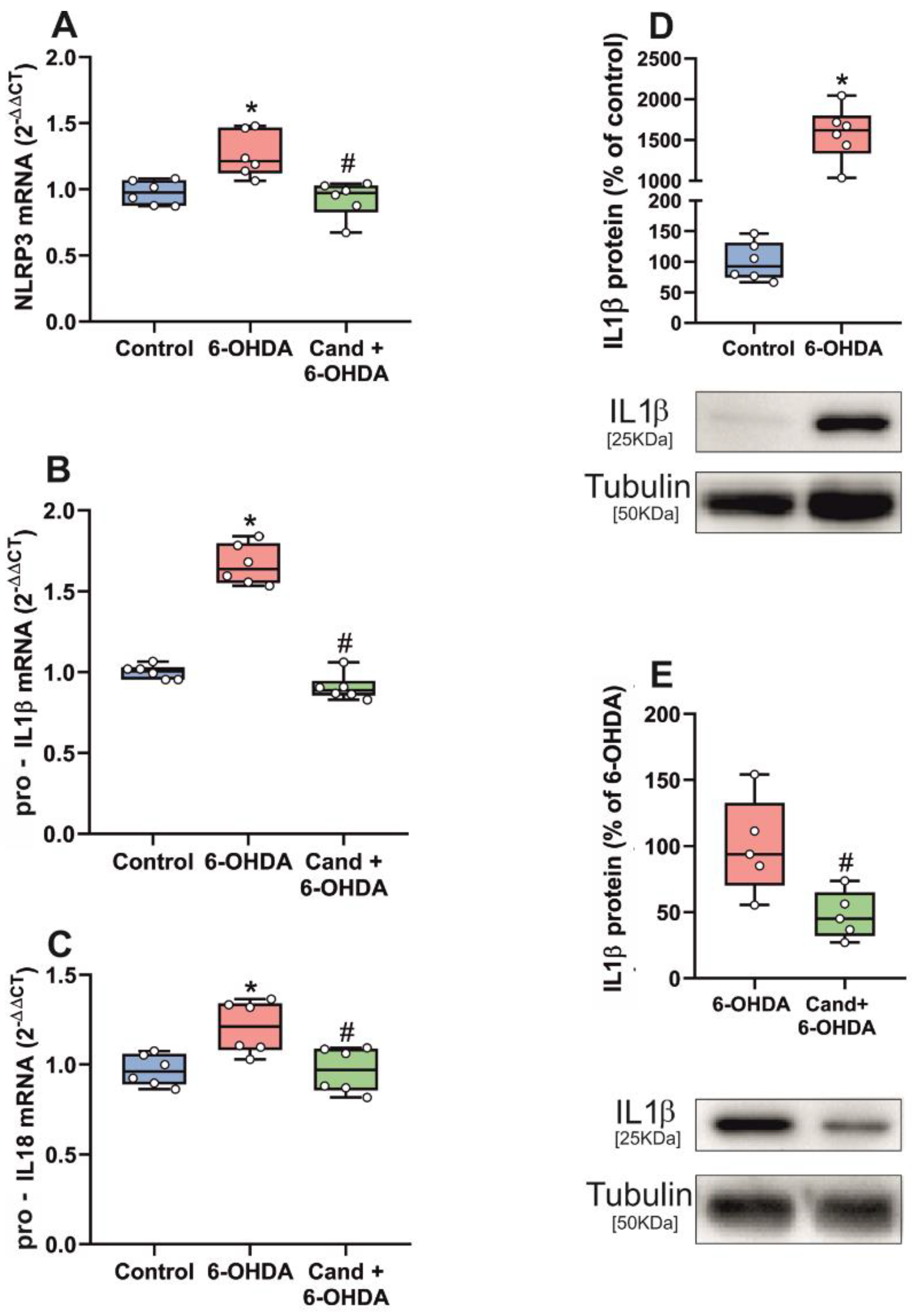 Antioxidants 11 00329 g005 Antioxidants 11 00329 g005