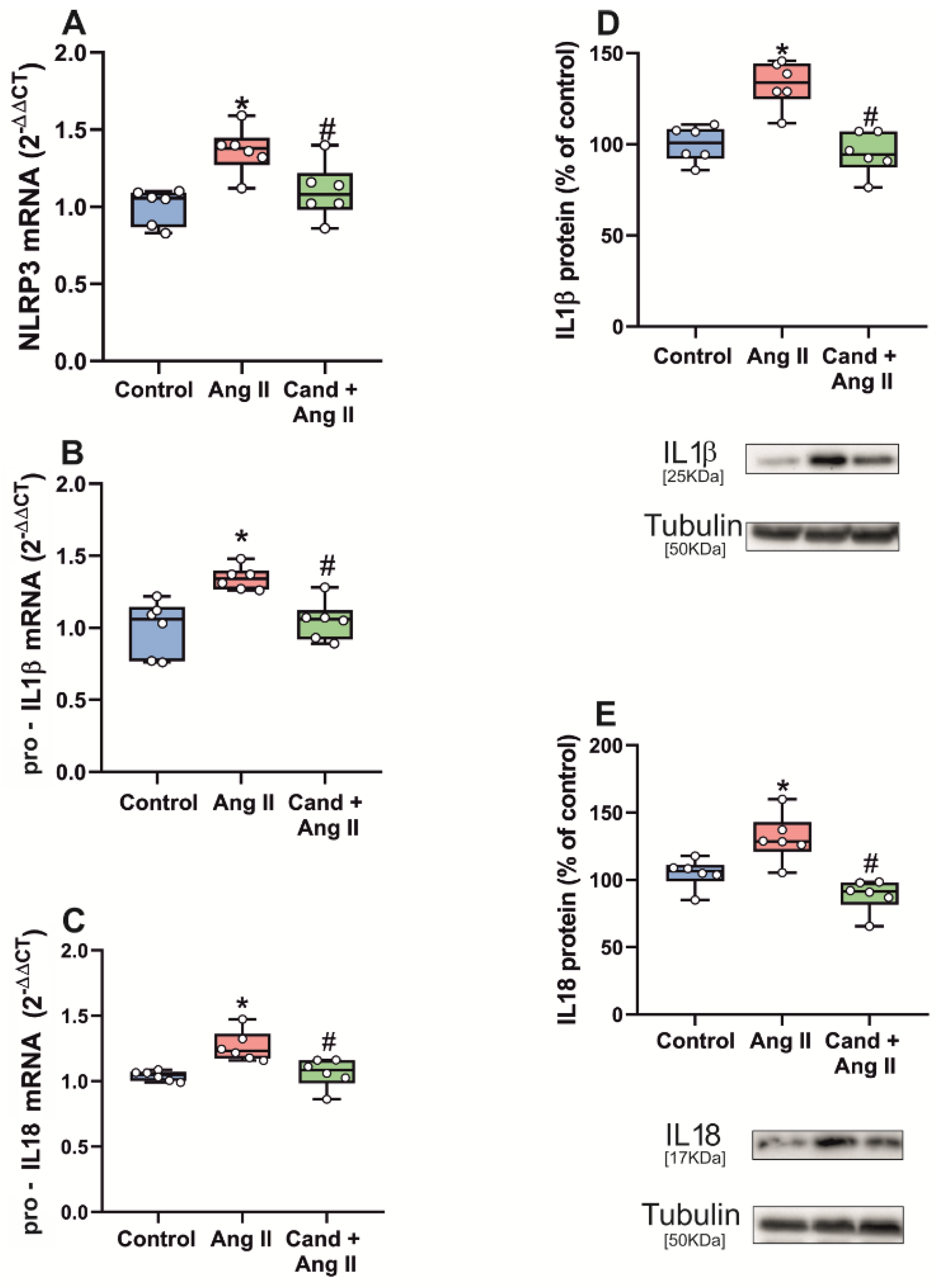 Antioxidants 11 00329 g006 Antioxidants 11 00329 g006