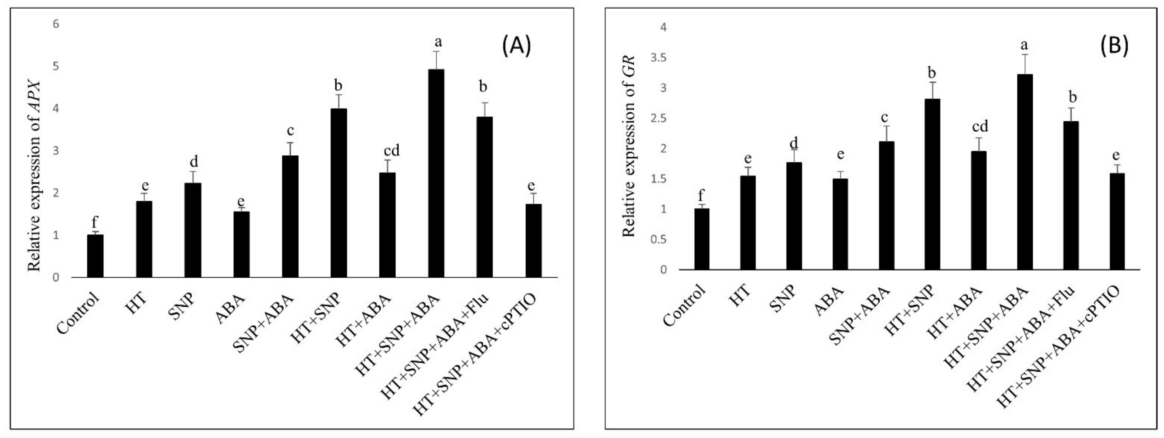 Antioxidants 11 00372 g005