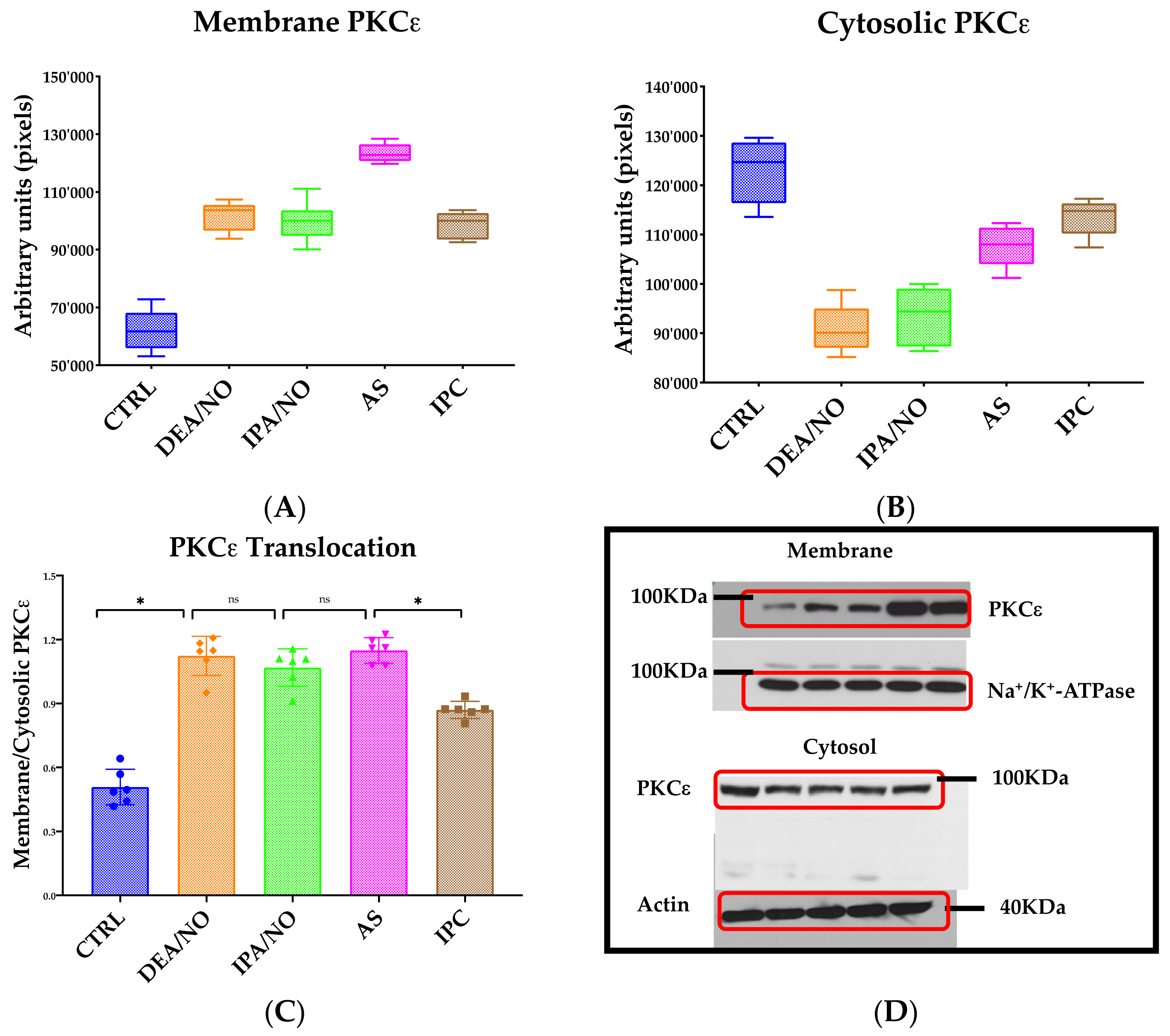 Antioxidants 11 00382 g004 Antioxidants 11 00382 g004