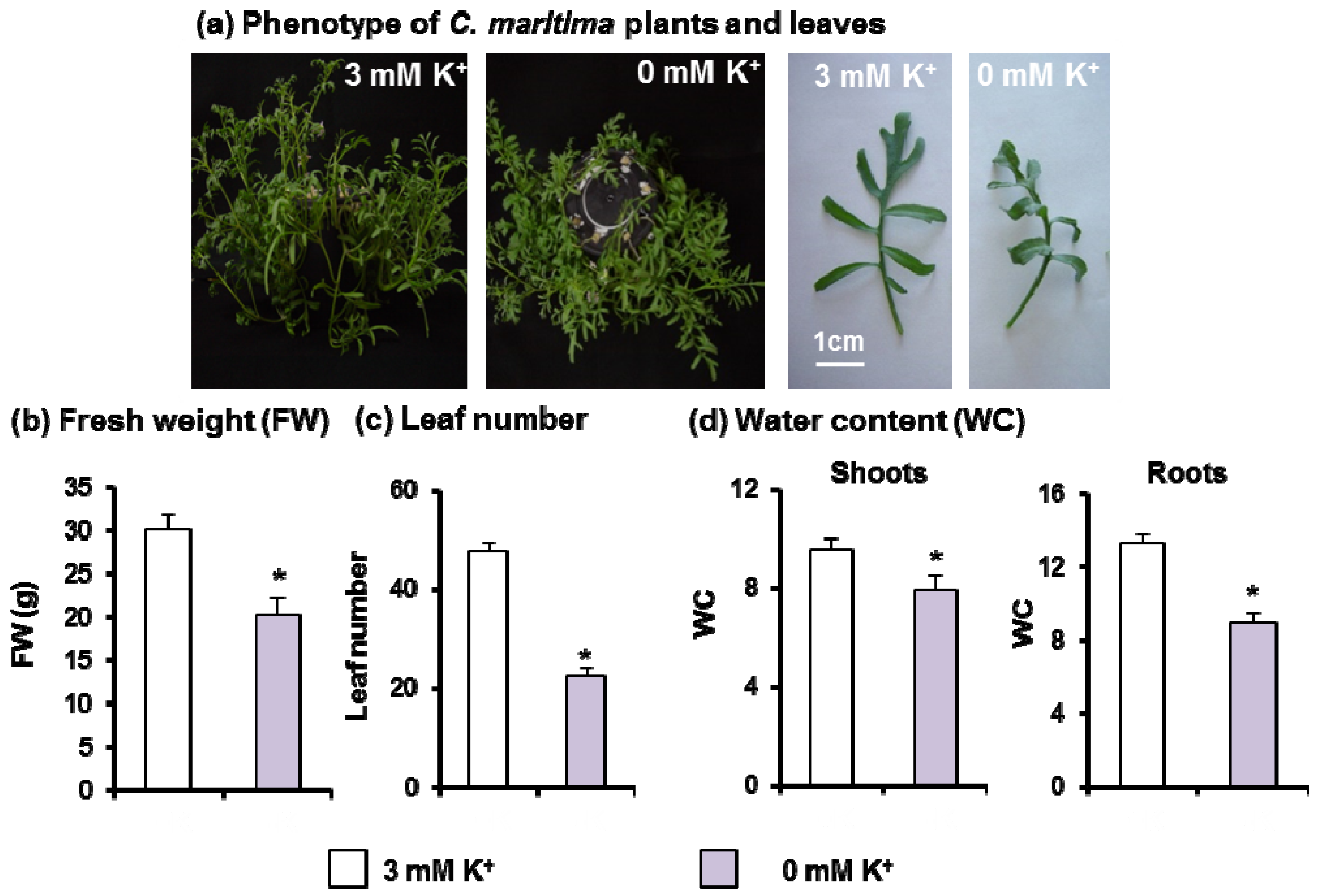 Antioxidants 11 00401 g002 Antioxidants 11 00401 g002