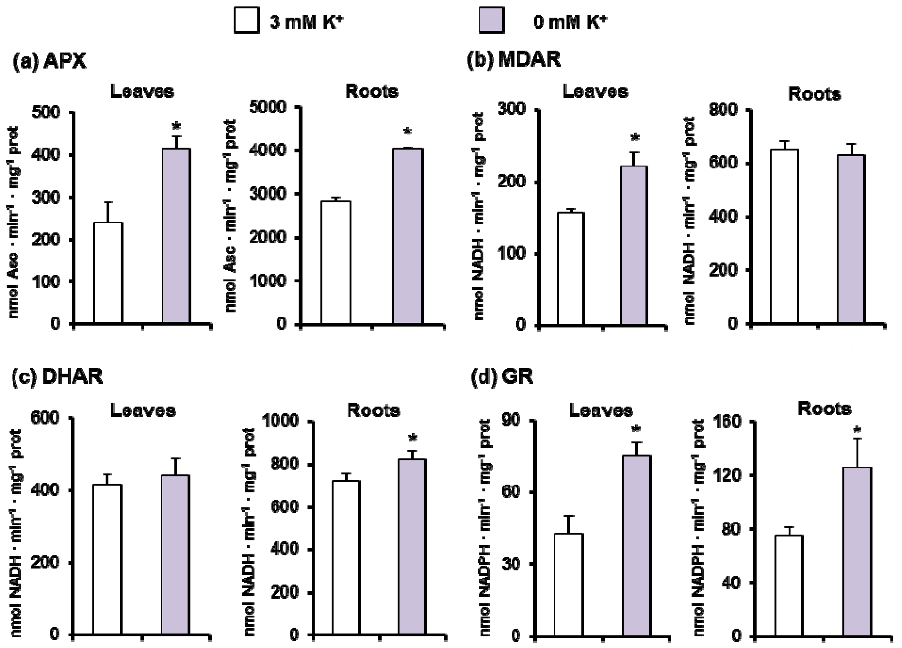 Antioxidants 11 00401 g005 Antioxidants 11 00401 g005