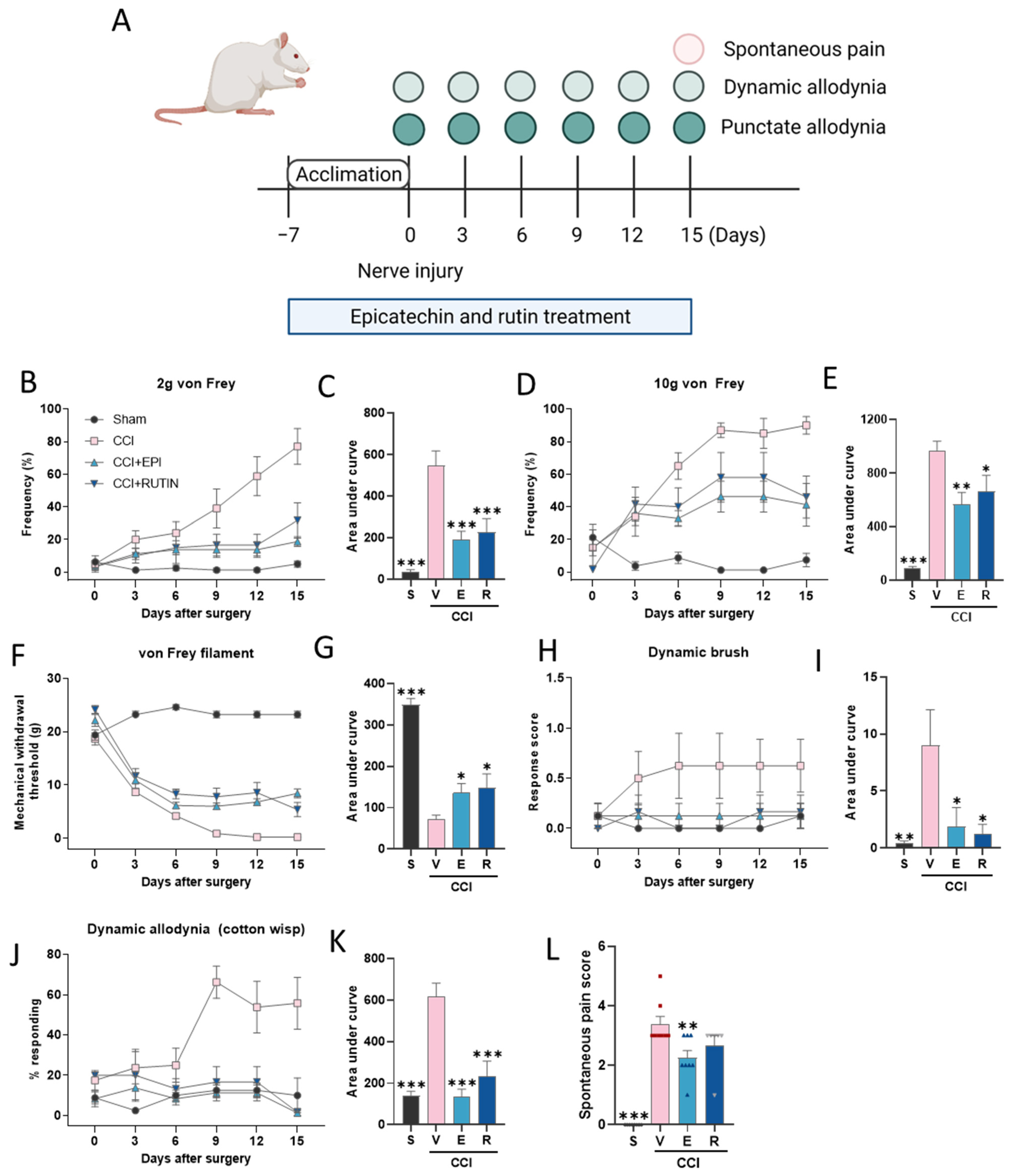 Antioxidants 11 00410 g003