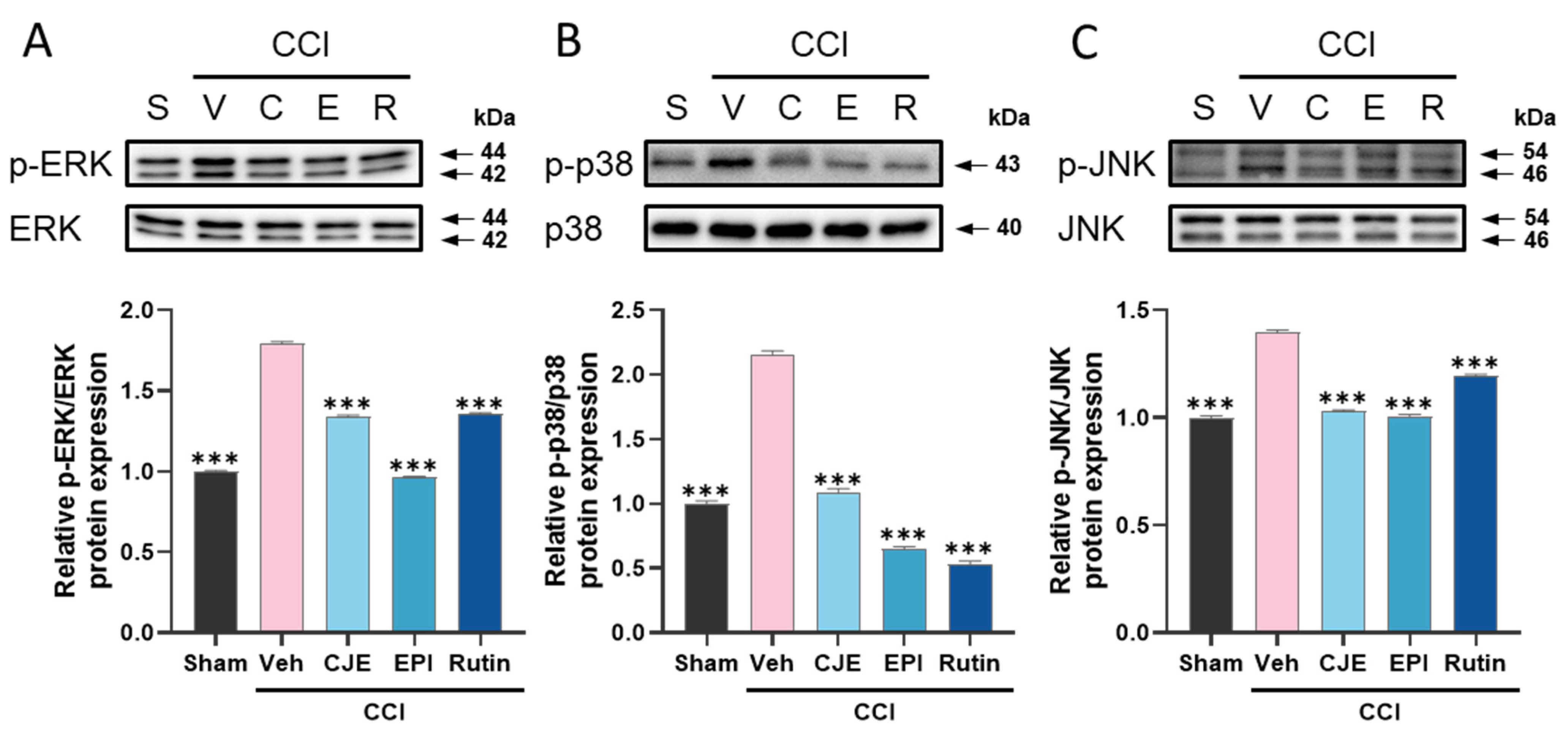 Antioxidants 11 00410 g004