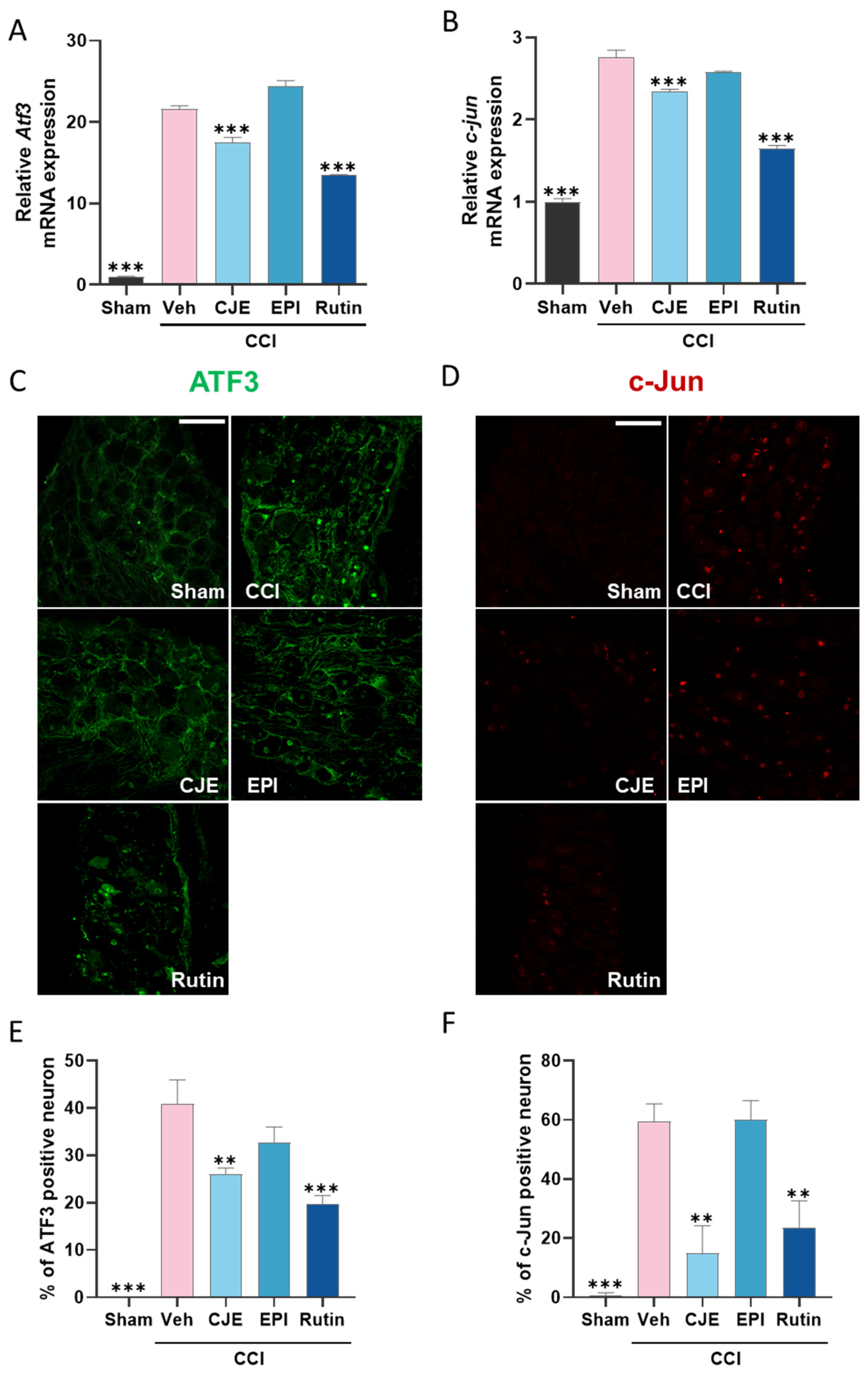 Antioxidants 11 00410 g005