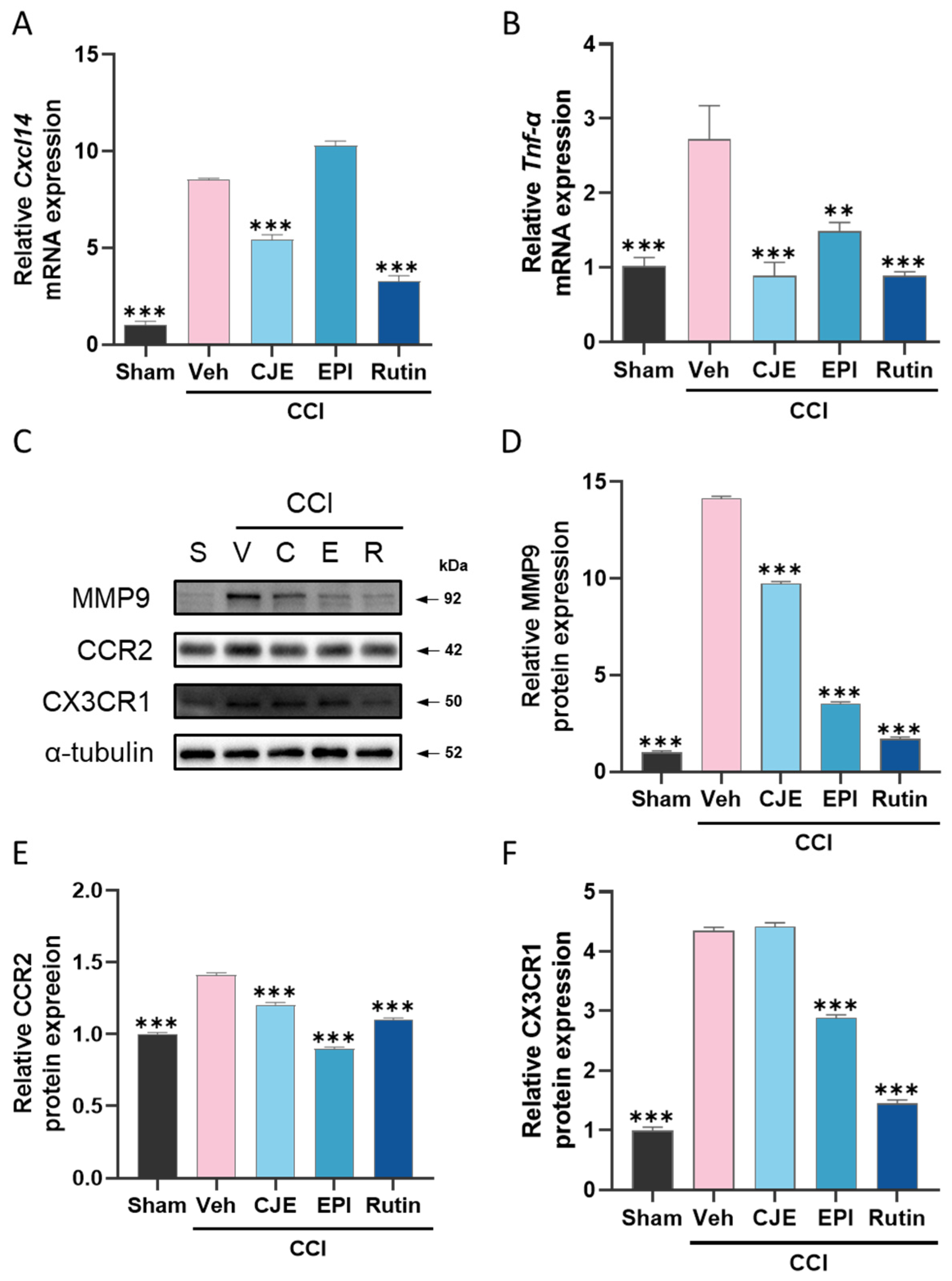 Antioxidants 11 00410 g006