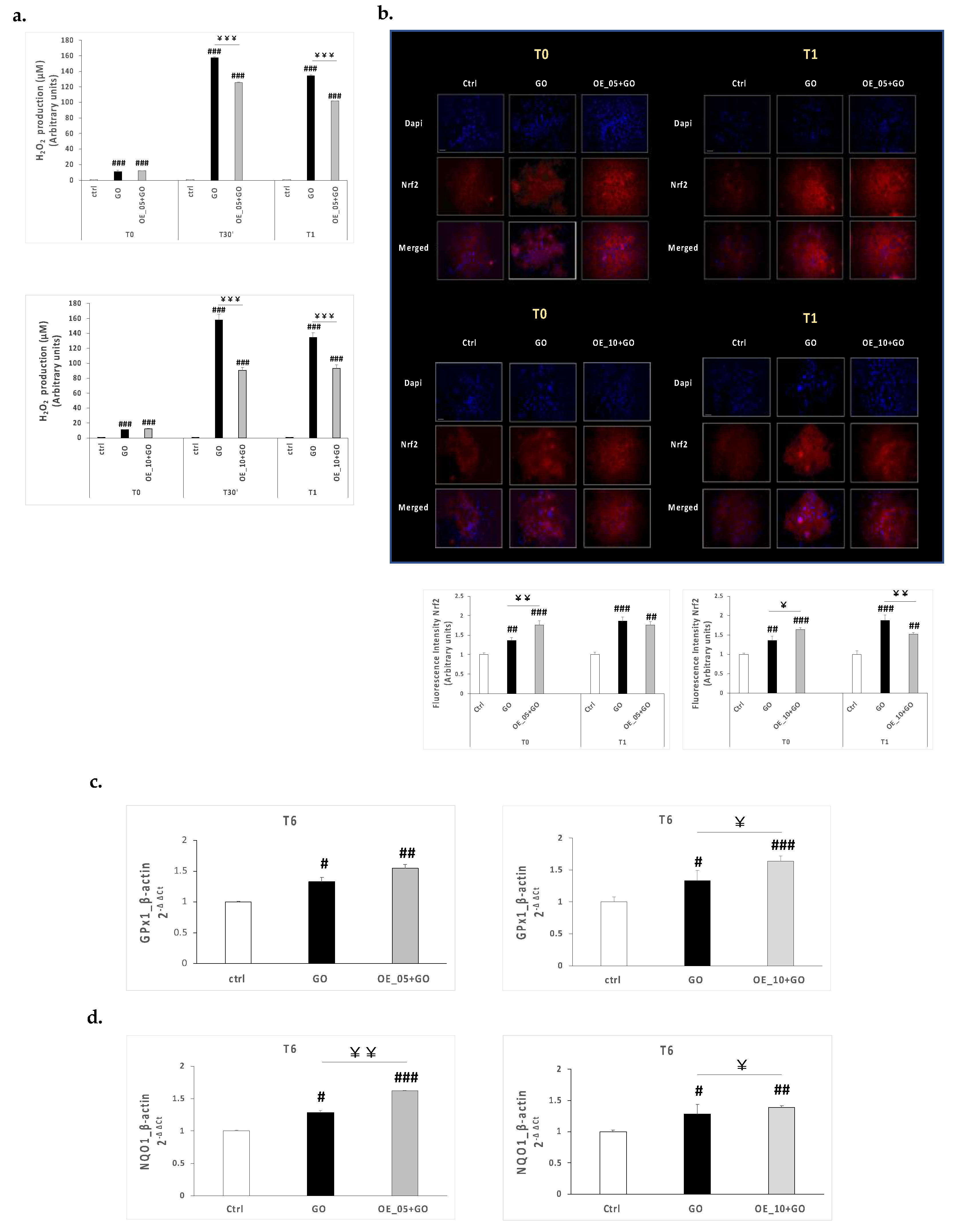 Antioxidants 11 00437 g004
