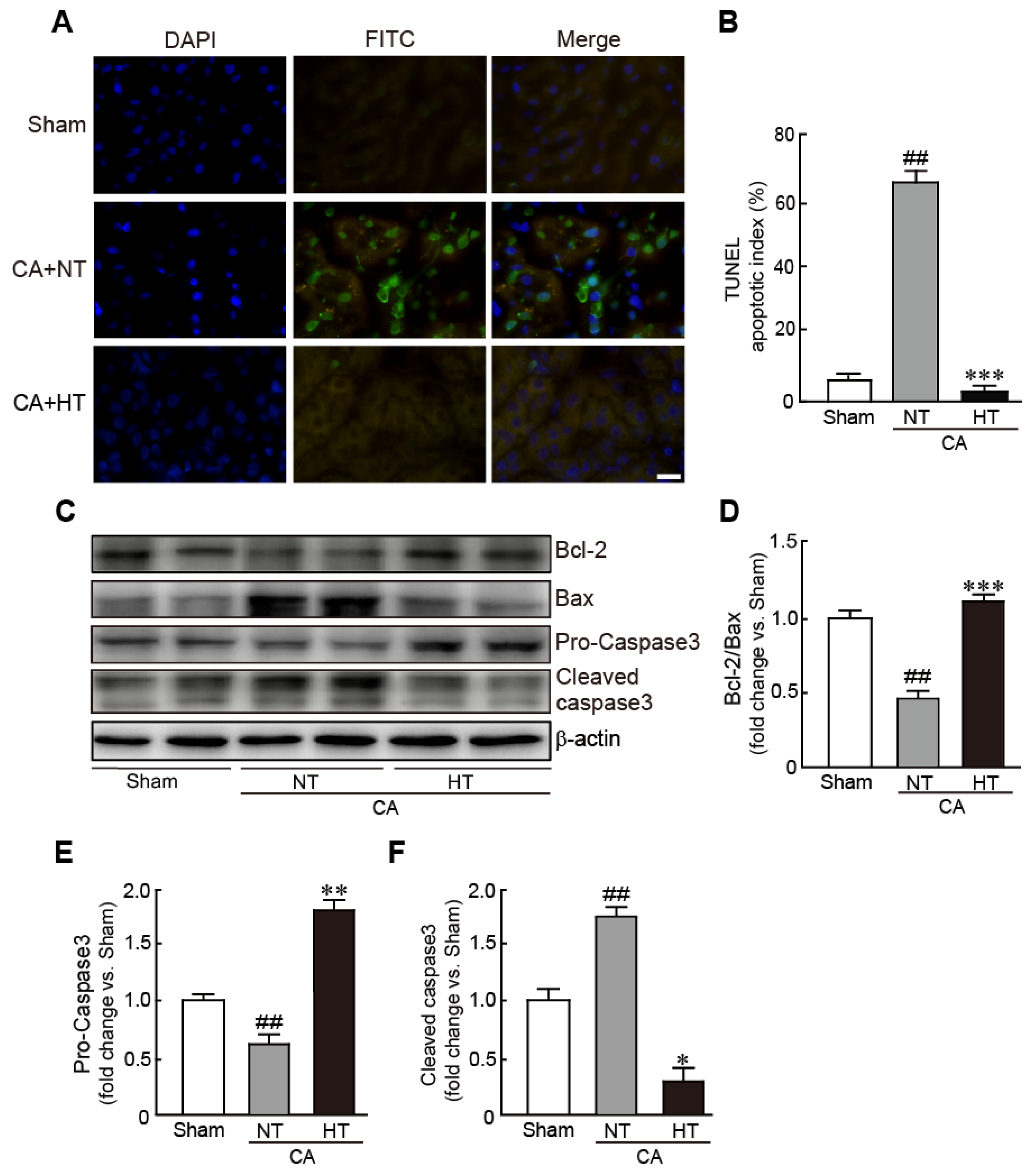 Antioxidants 11 00443 g004