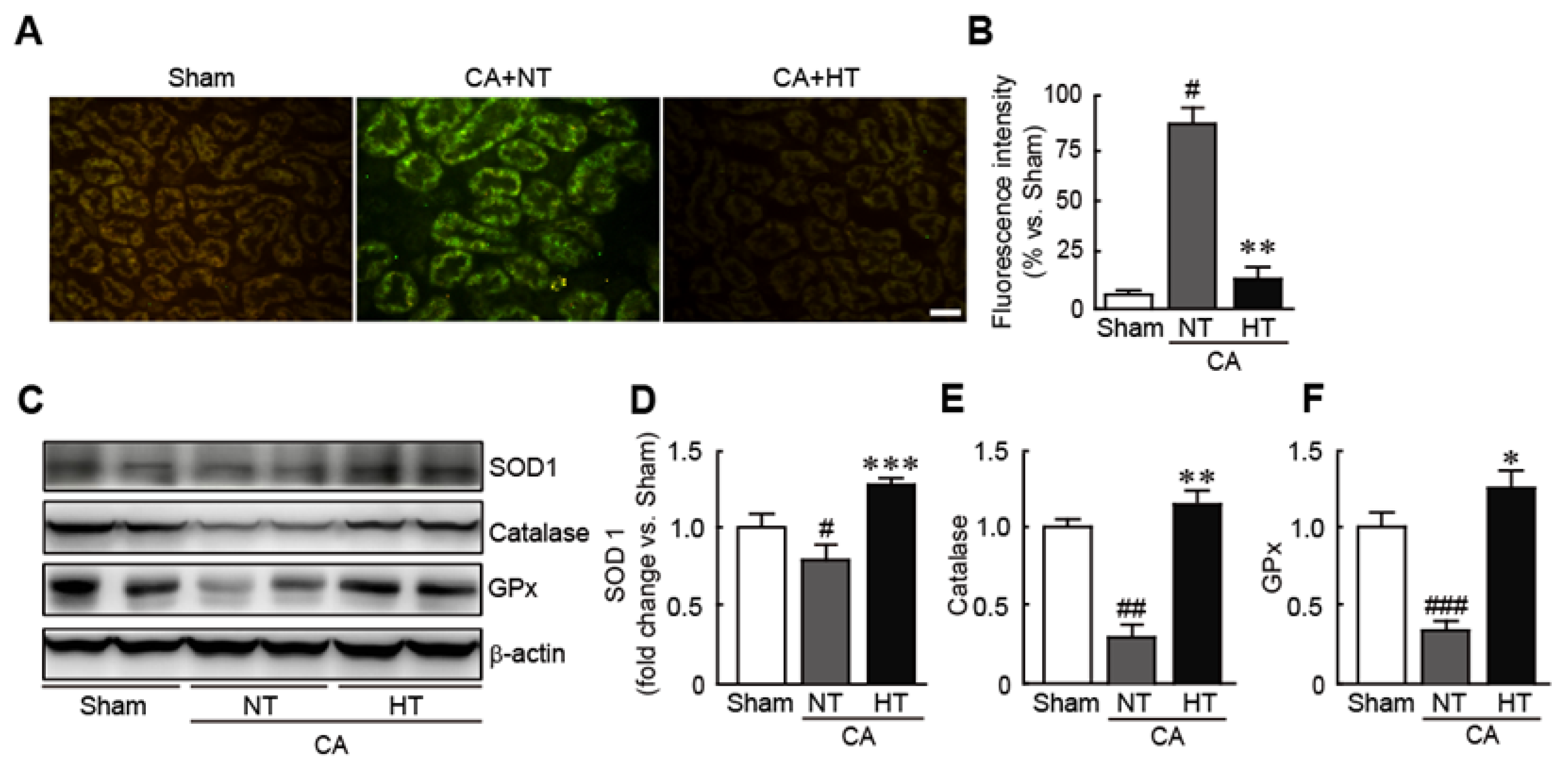 Antioxidants 11 00443 g005
