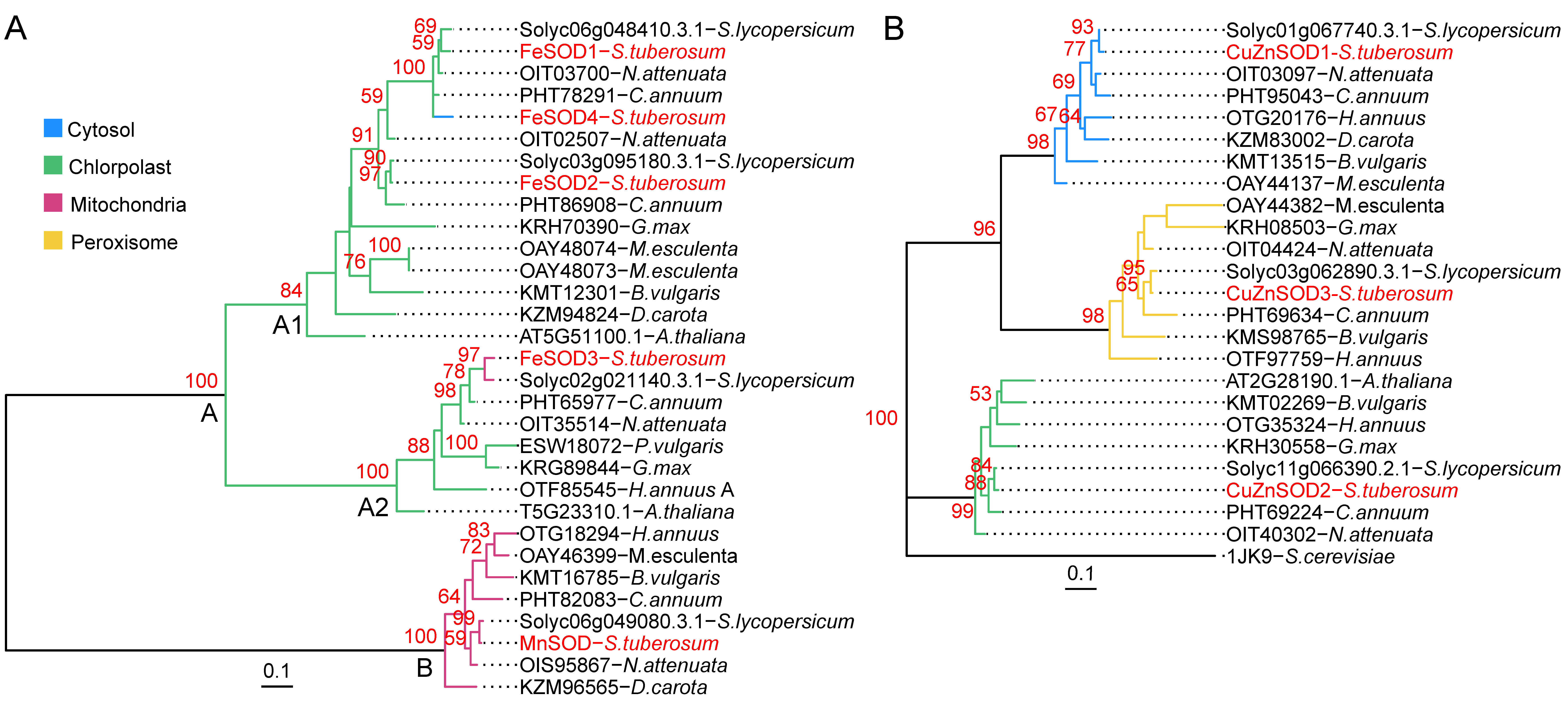 Antioxidants 11 00488 g006
