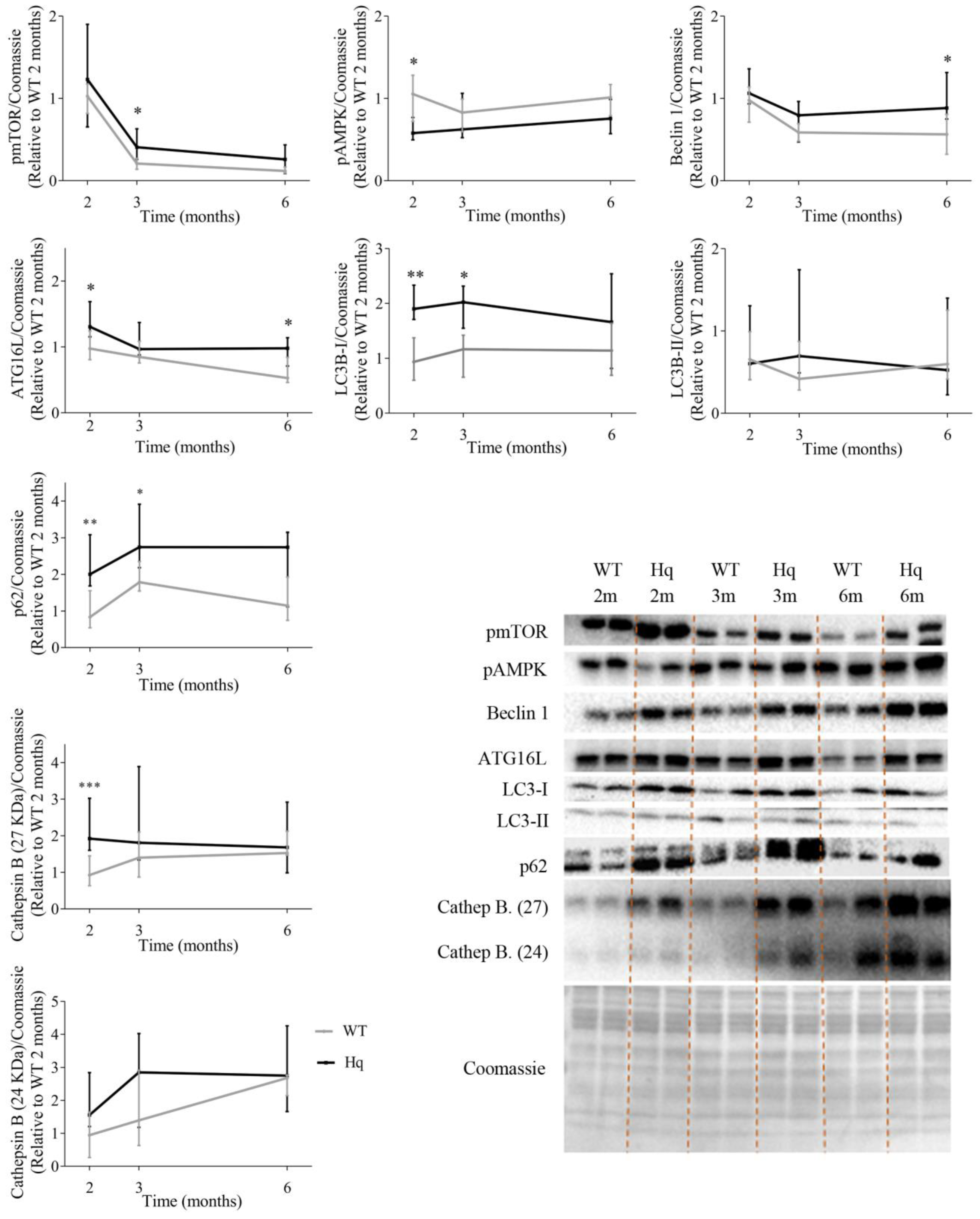 Antioxidants 11 00510 g001