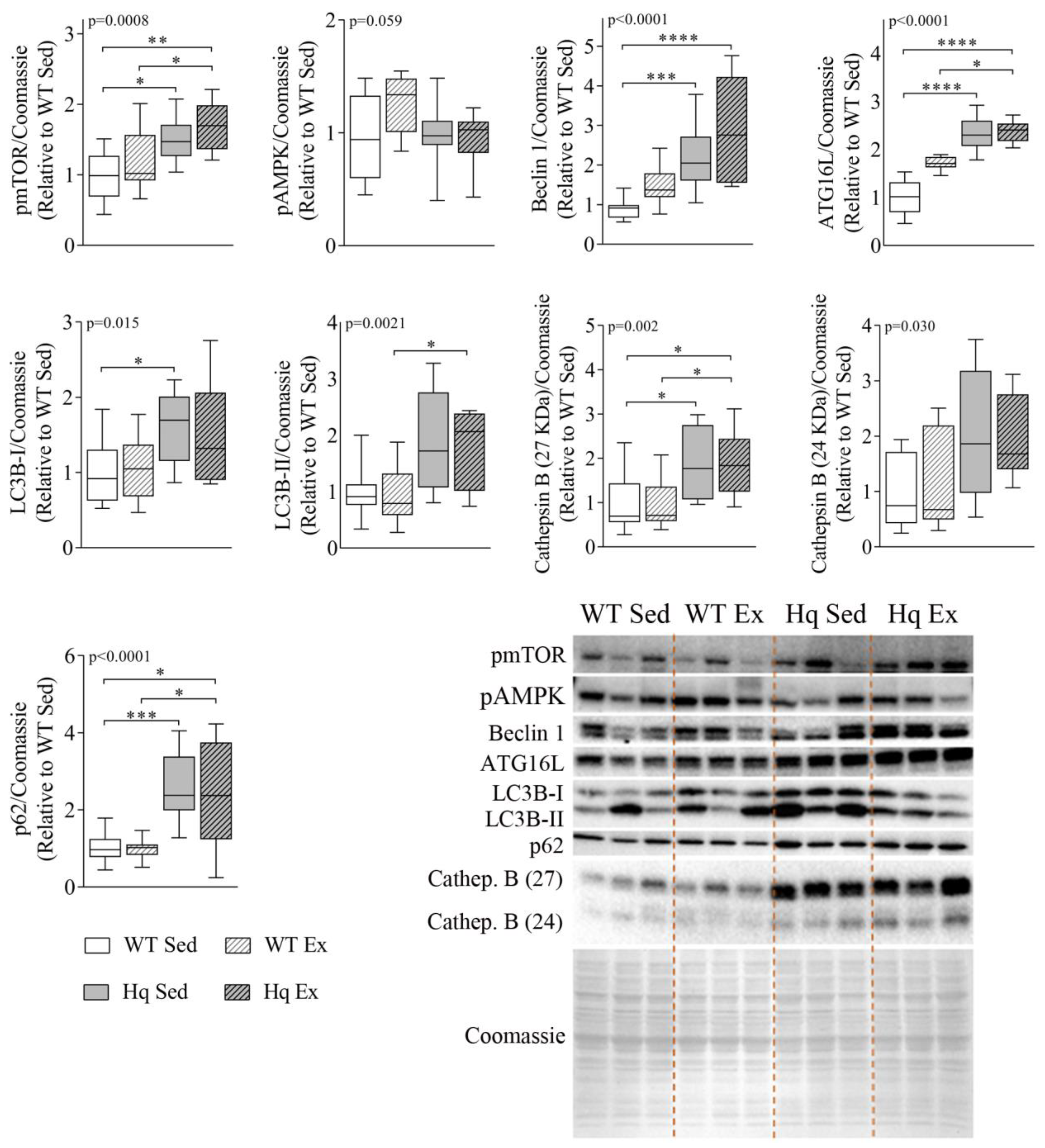 Antioxidants 11 00510 g003