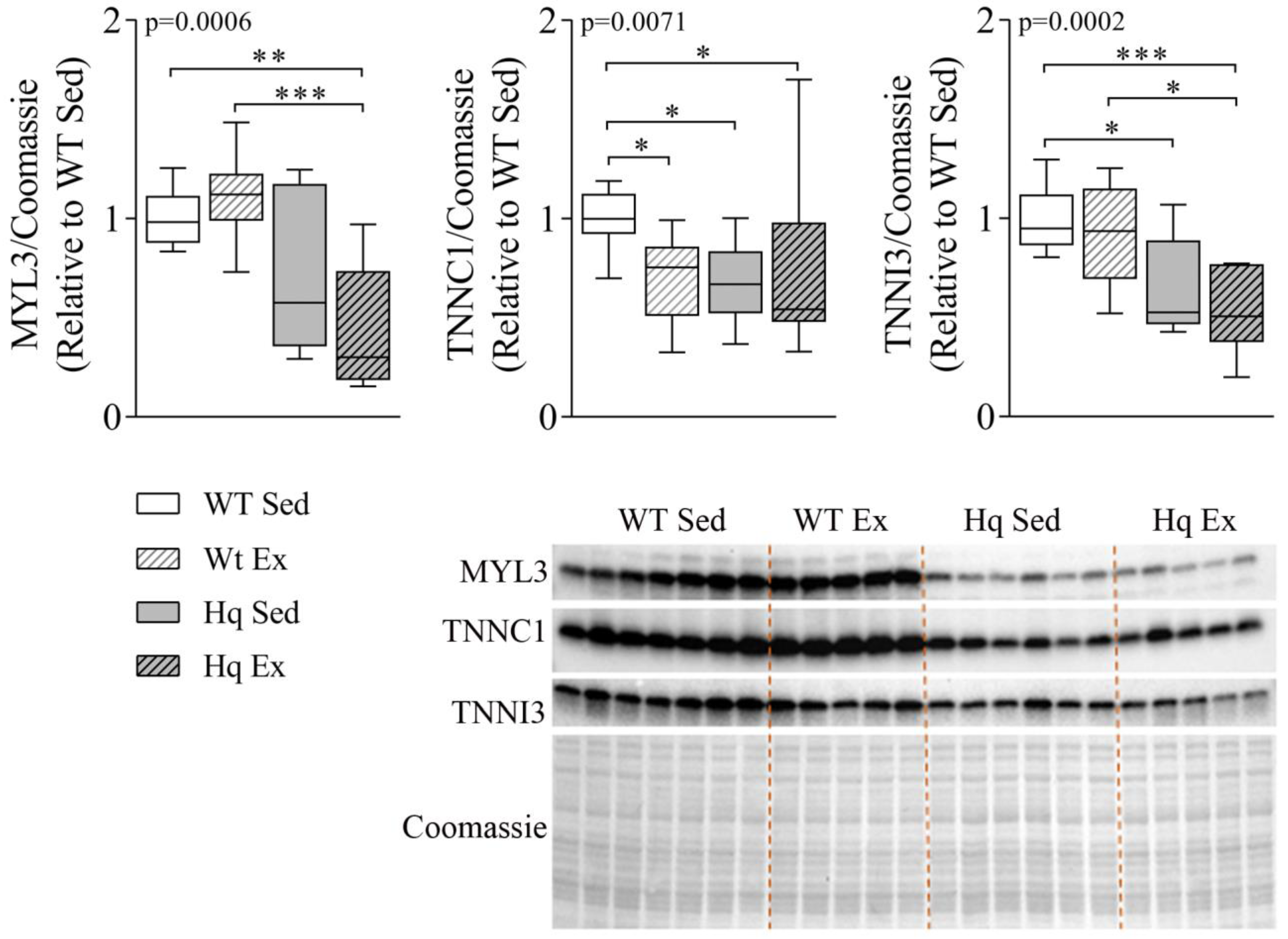Antioxidants 11 00510 g004