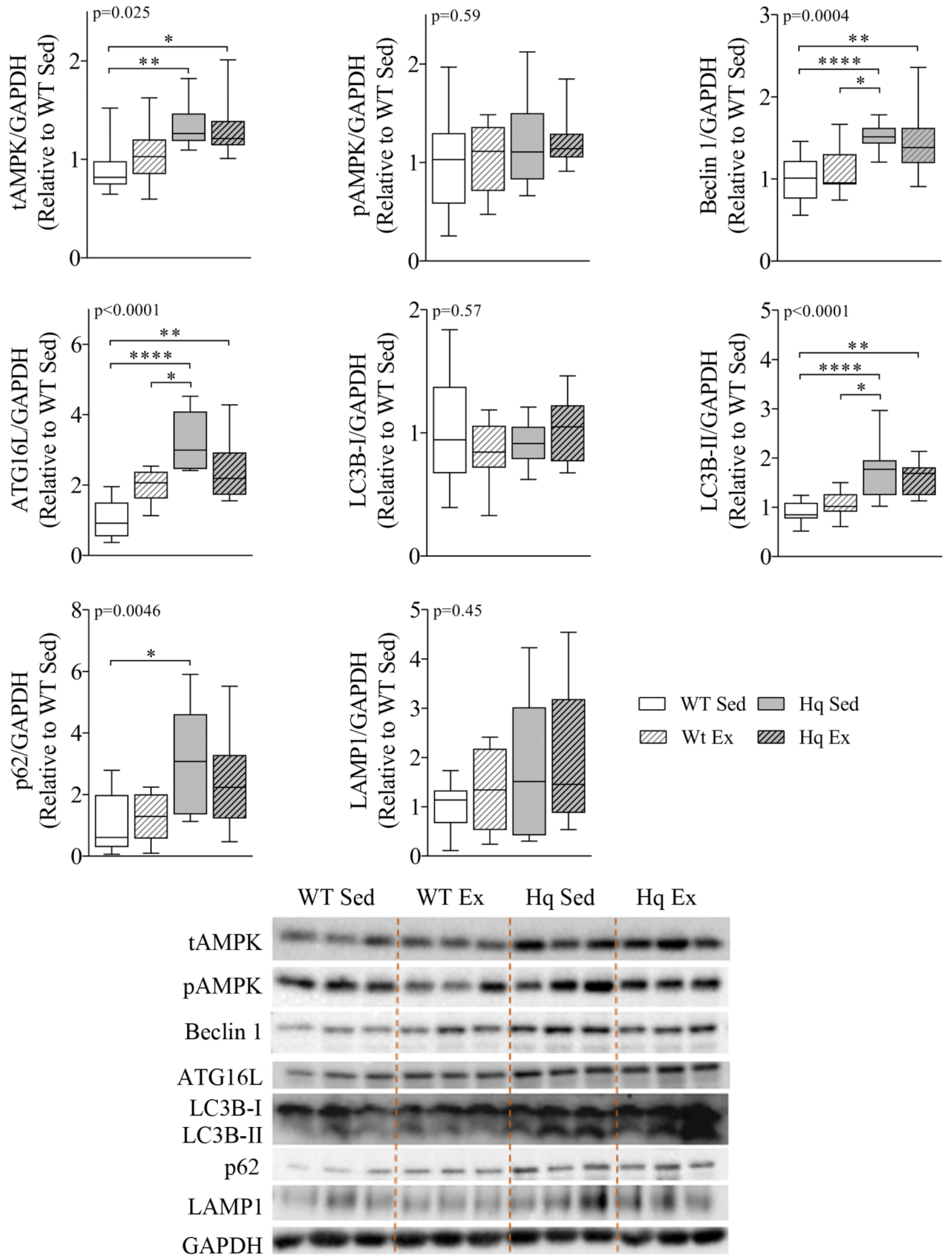 Antioxidants 11 00510 g005