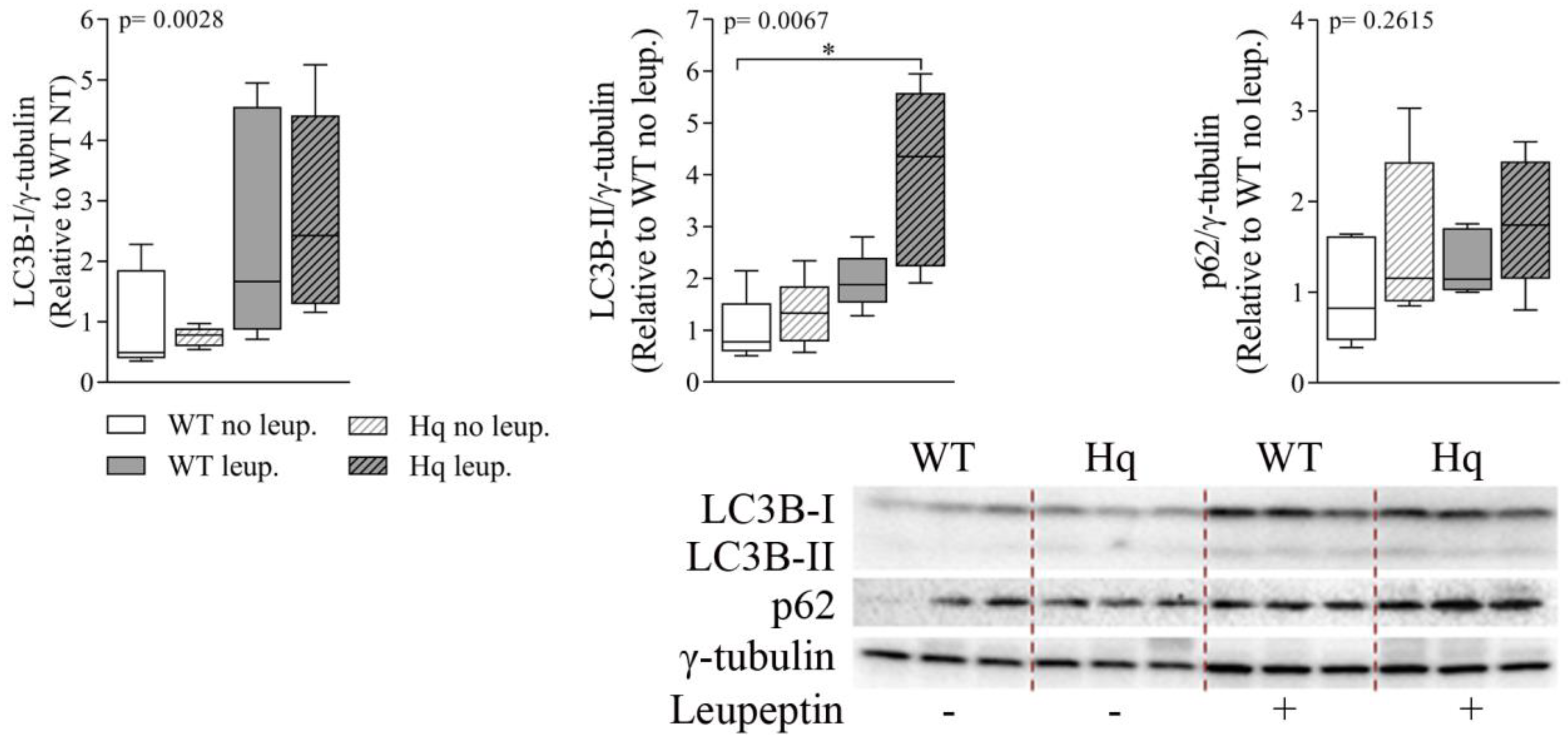 Antioxidants 11 00510 g007