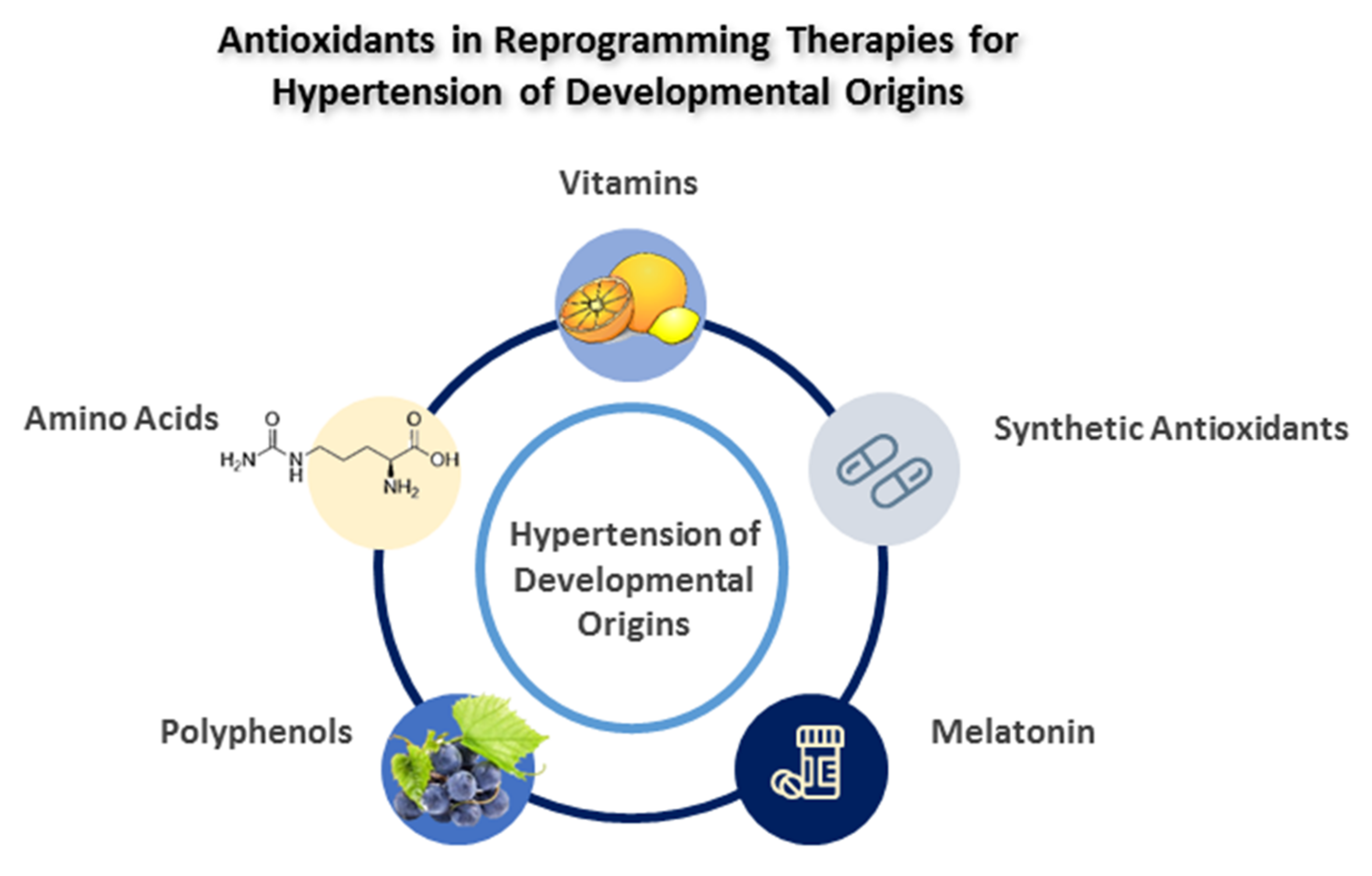 Antioxidants 11 00511 g003