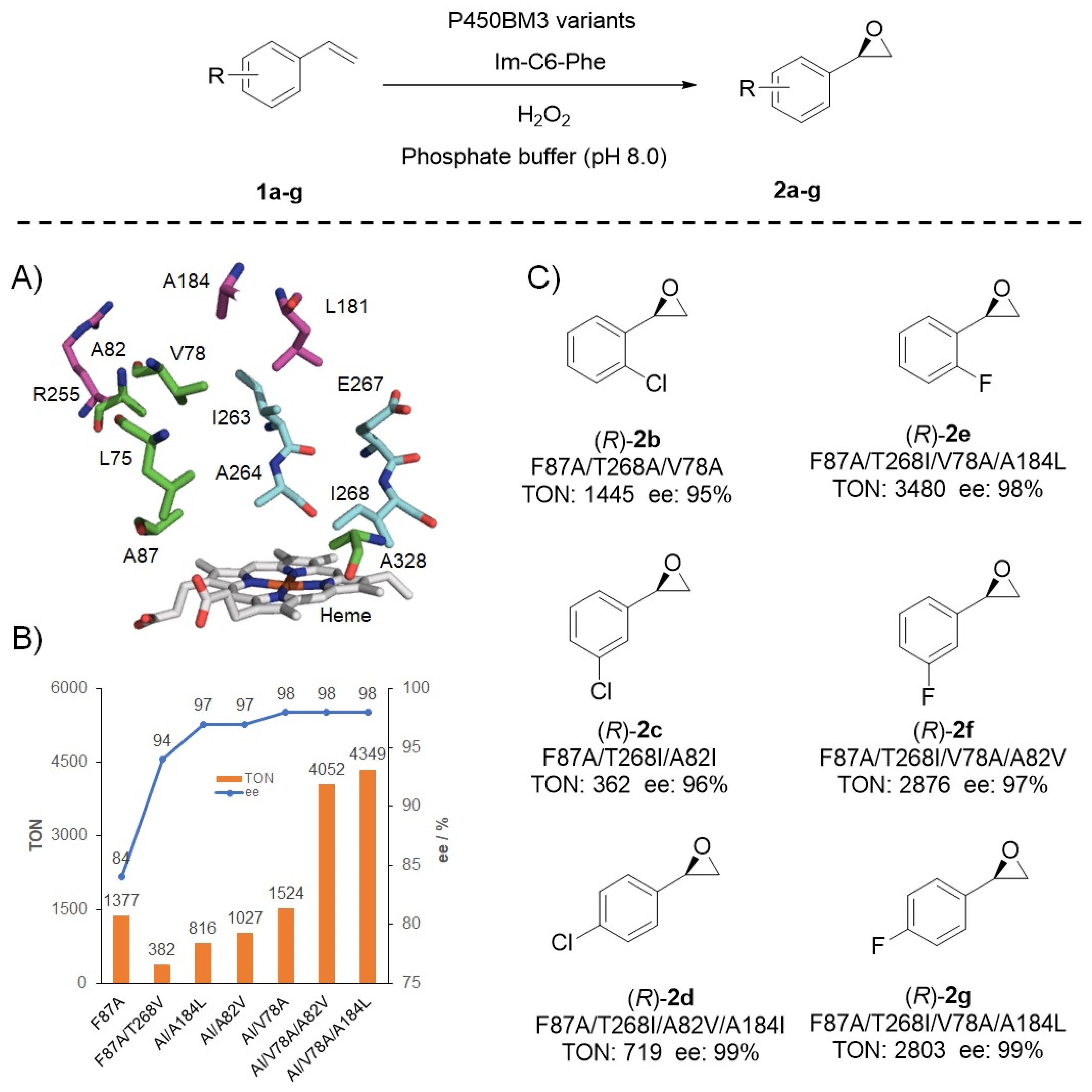 Antioxidants | Free Full-Text | A Unique P450 Peroxygenase System  Facilitated by a Dual-Functional Small Molecule: Concept, Application, and  Perspective | HTML
