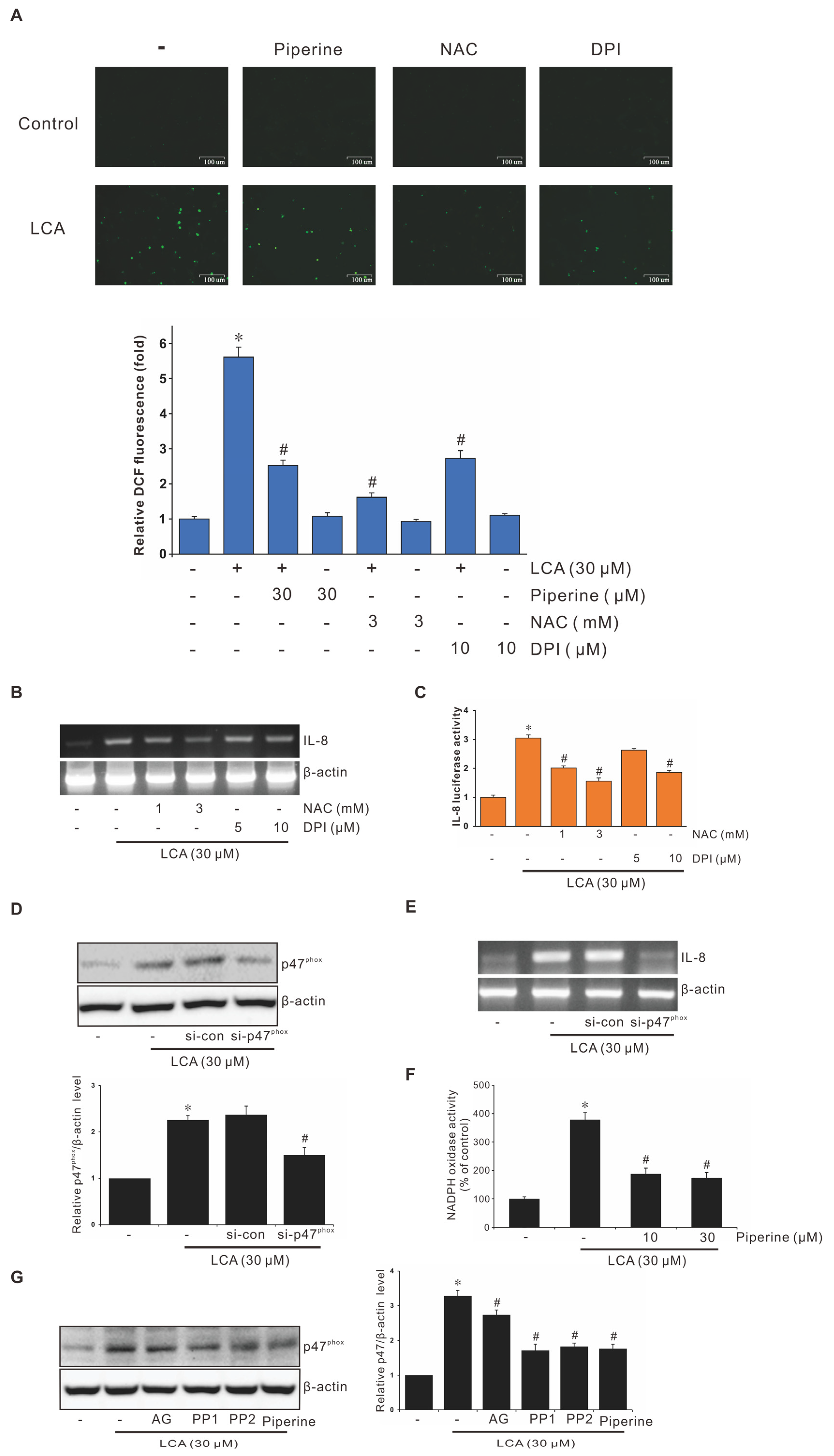 Antioxidants 11 00530 g004