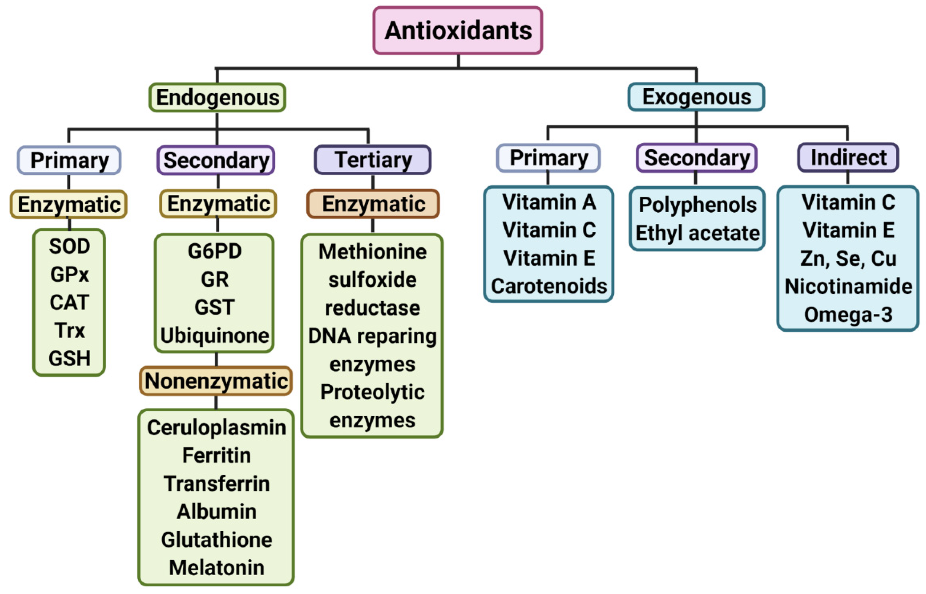 Antioxidants | Free Full-Text | Antioxidant Biomolecules and Their  Potential for the Treatment of Difficult-to-Treat Depression and  Conventional Treatment-Resistant Depression