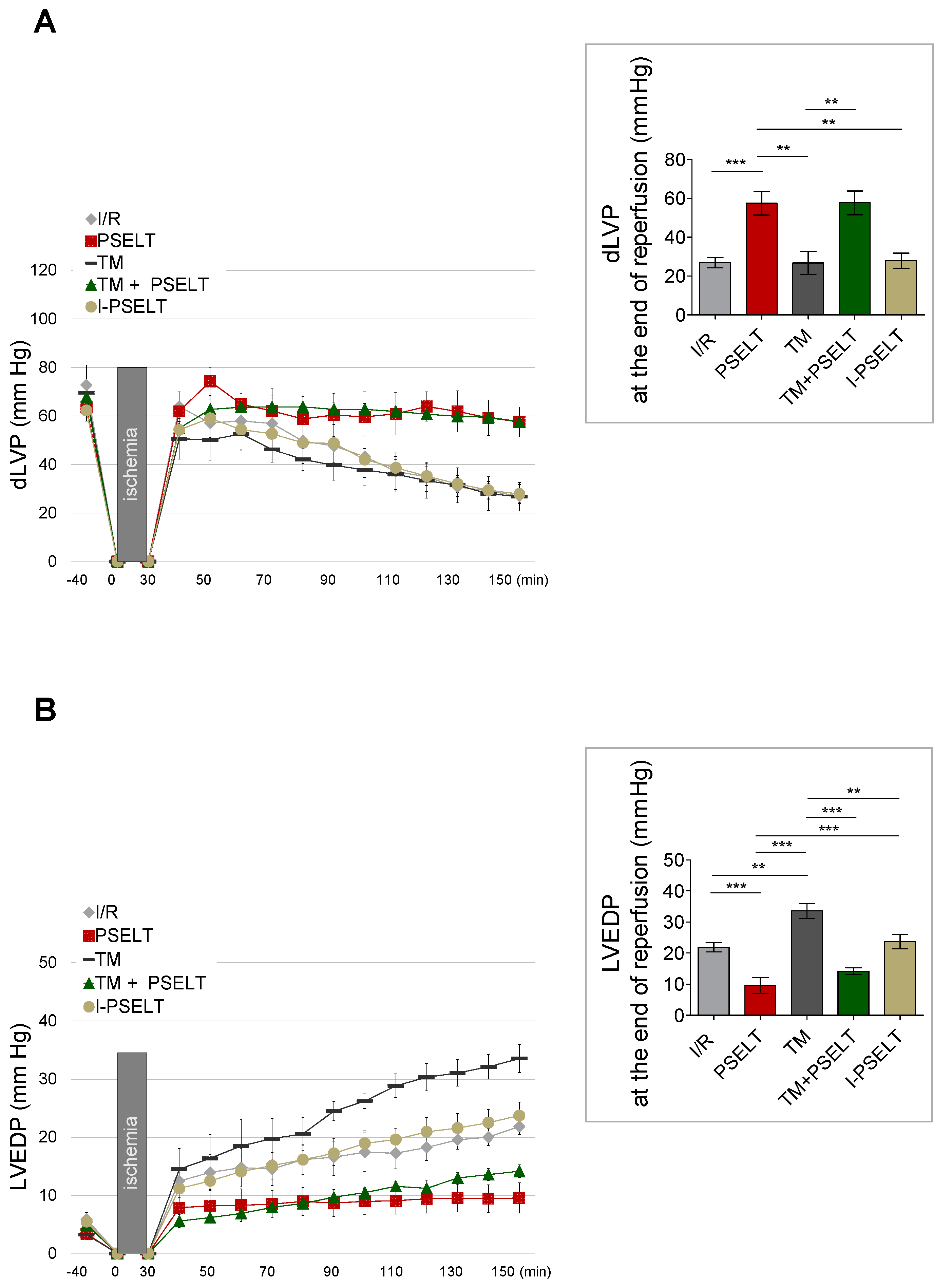Antioxidants 11 00571 g001