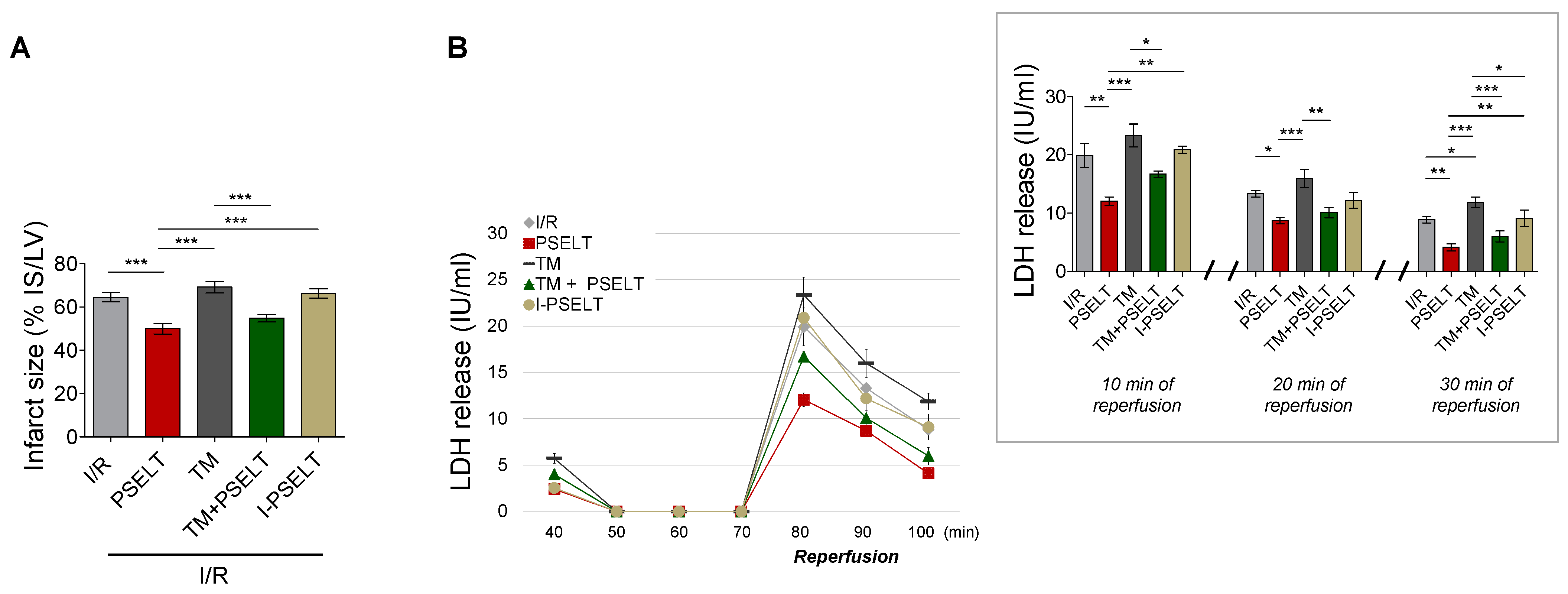 Antioxidants 11 00571 g002