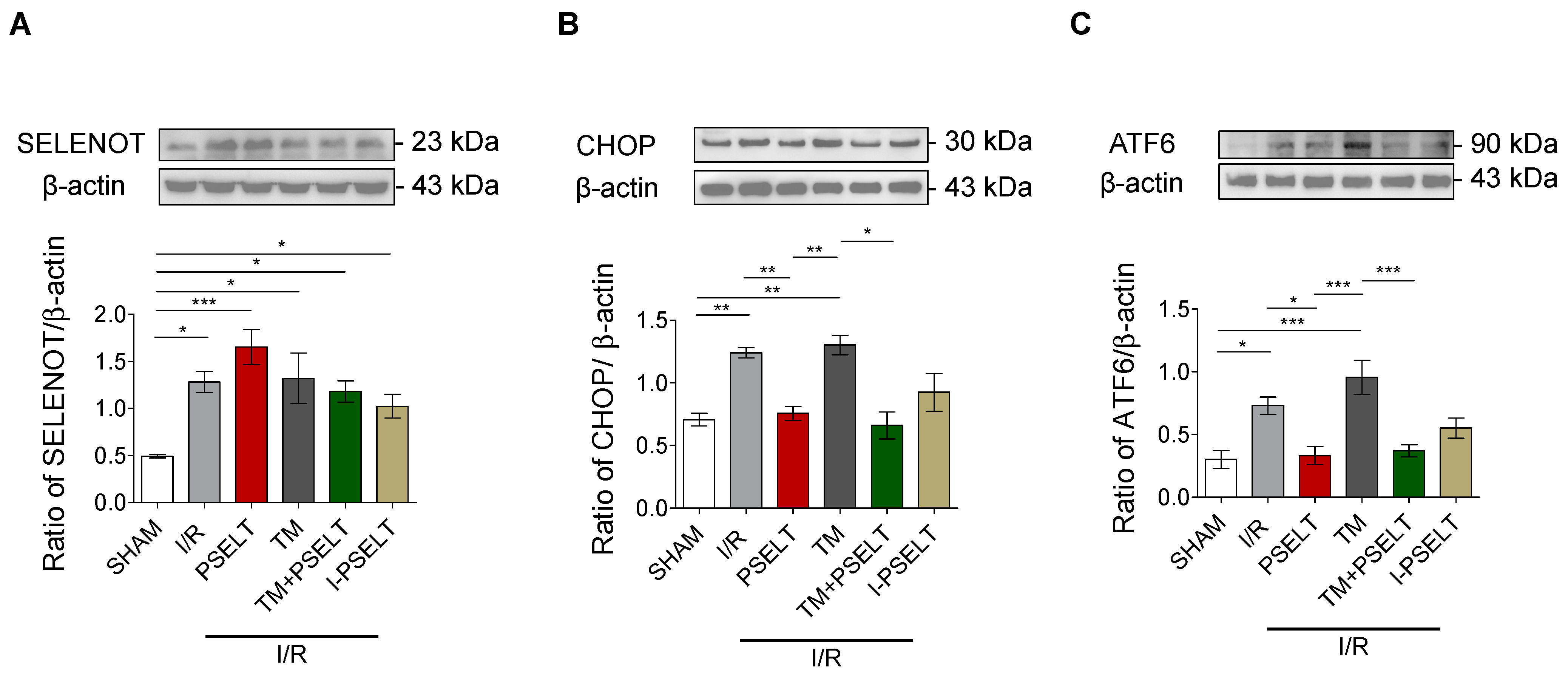 Antioxidants 11 00571 g004