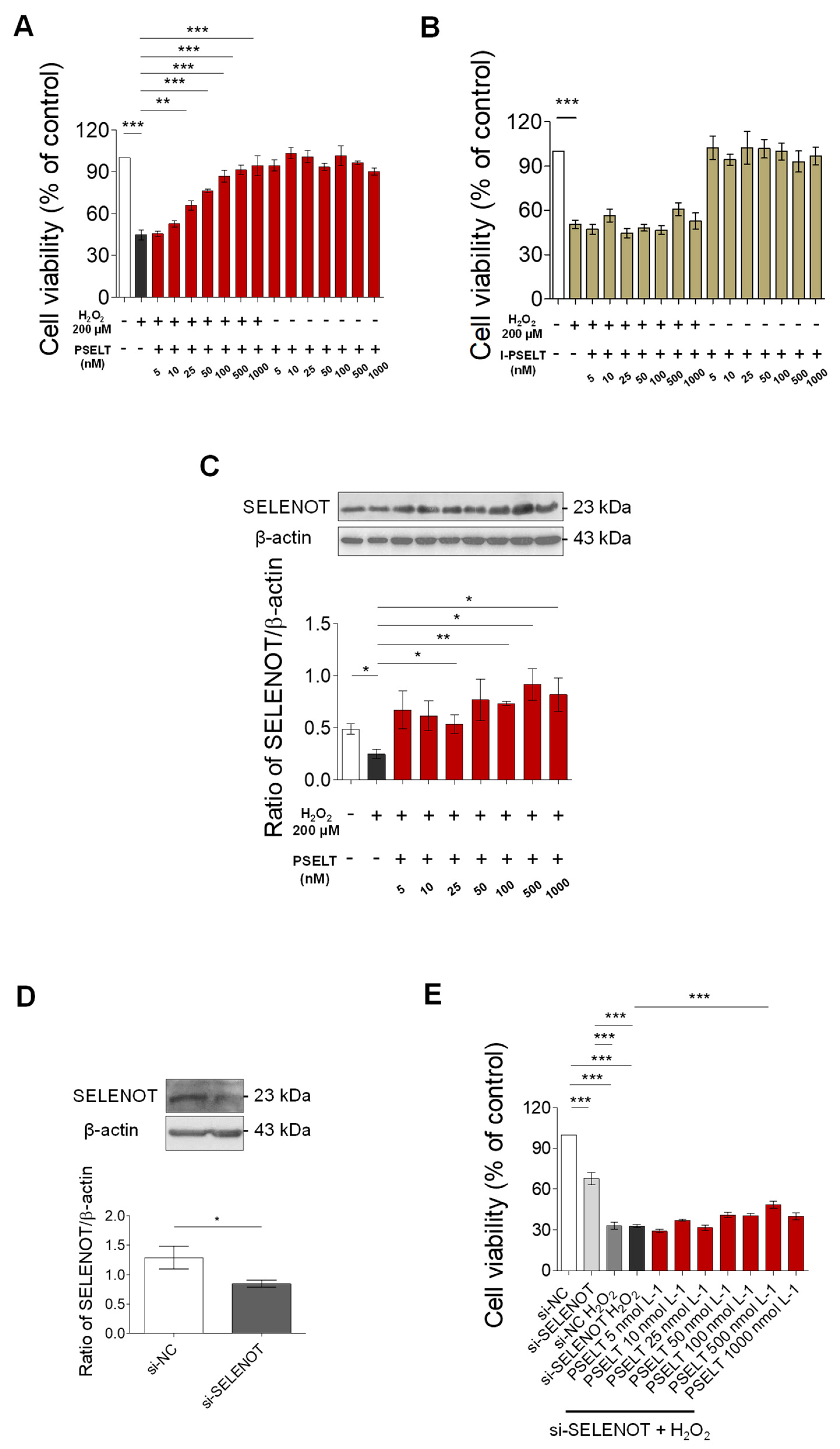 Antioxidants 11 00571 g005