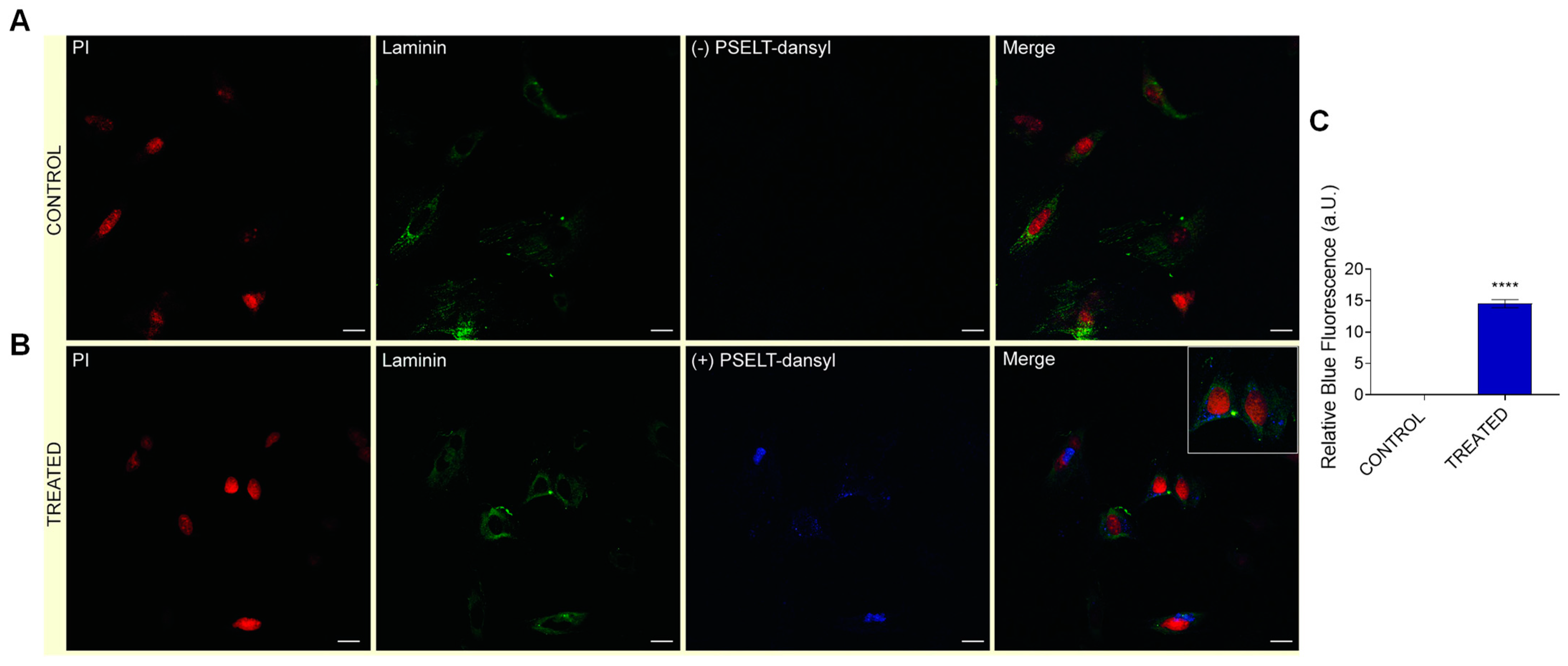 Antioxidants 11 00571 g006