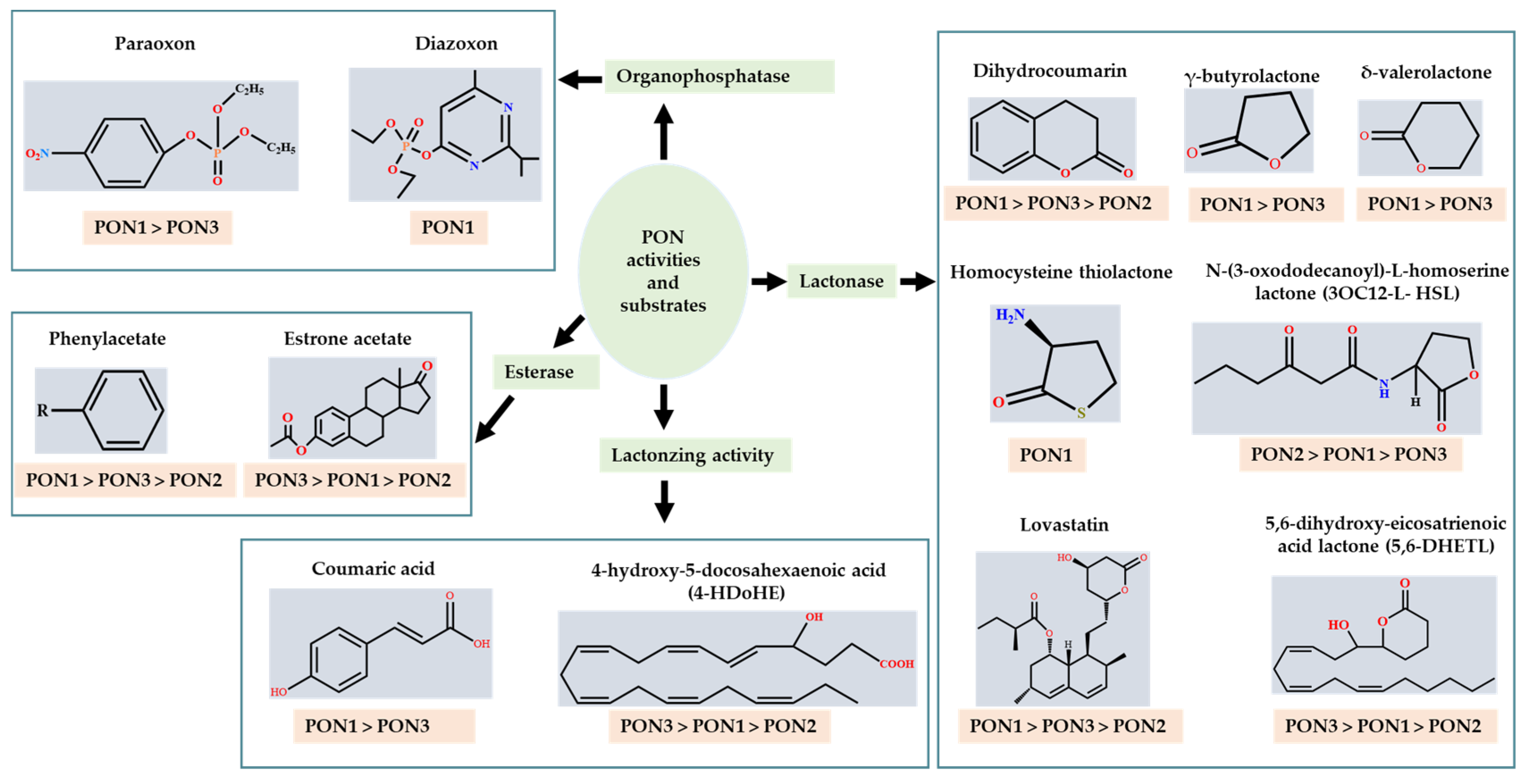 Antioxidants 11 00590 g003