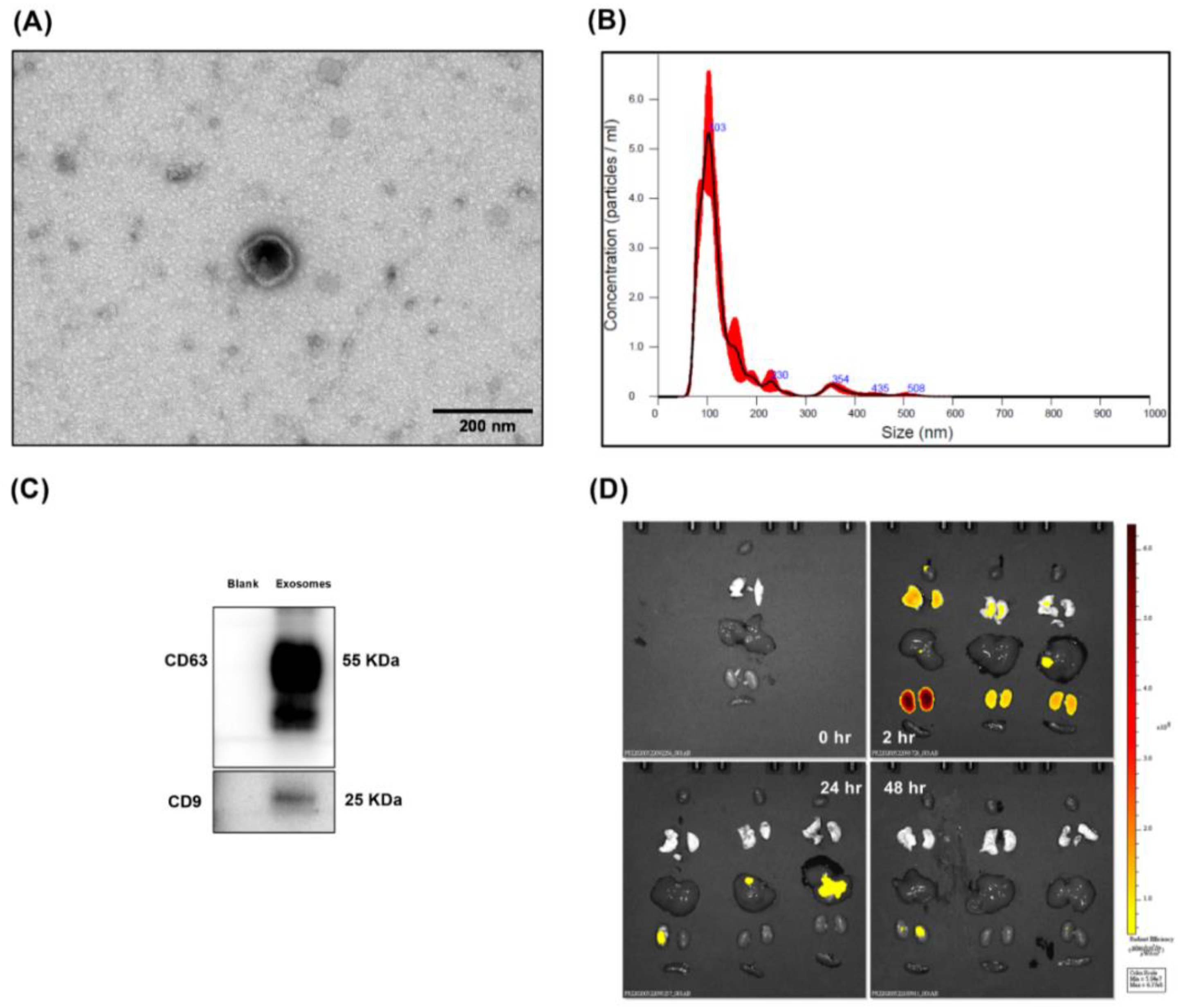 Antioxidants 11 00615 g001