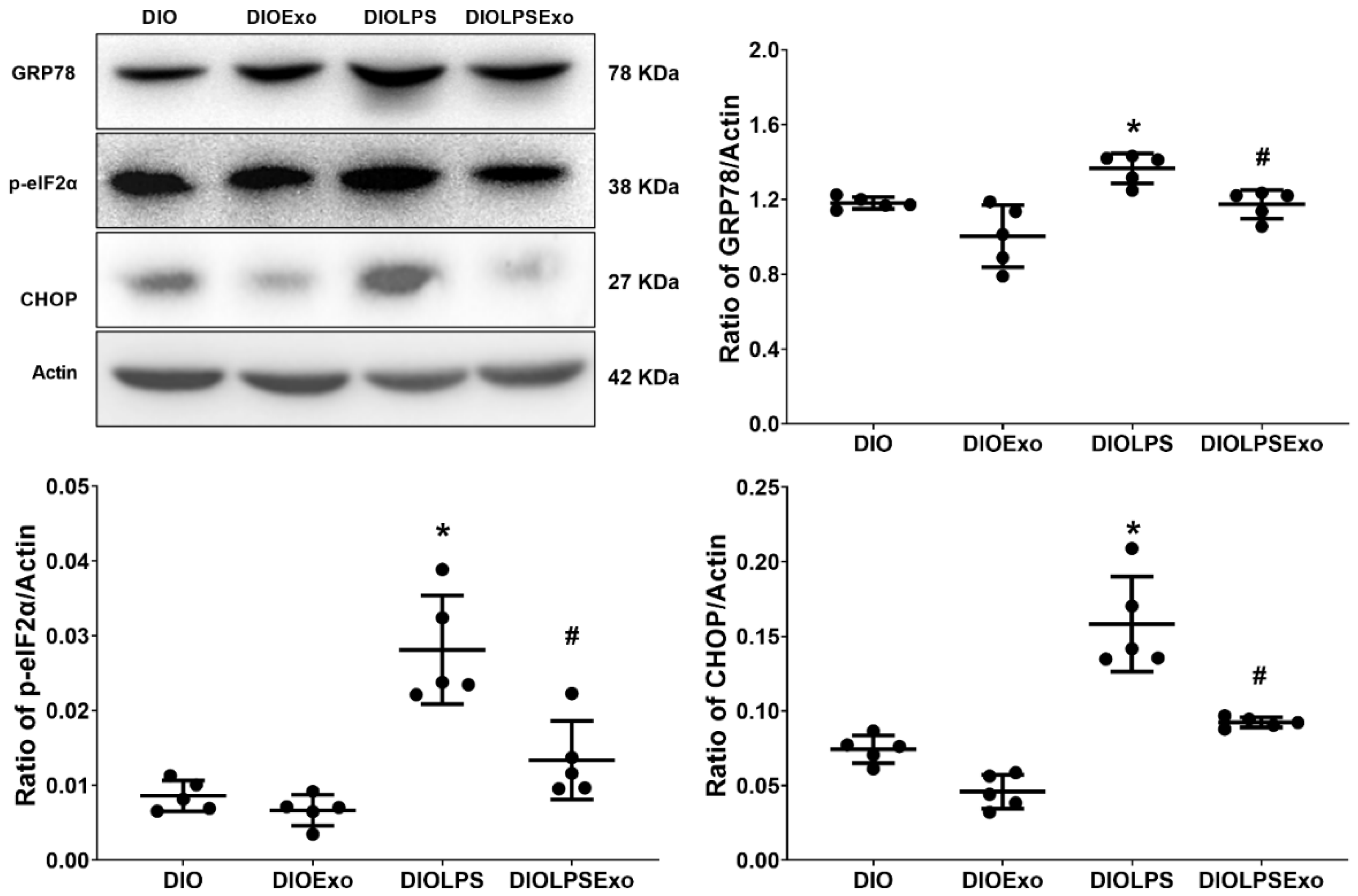 Antioxidants 11 00615 g004