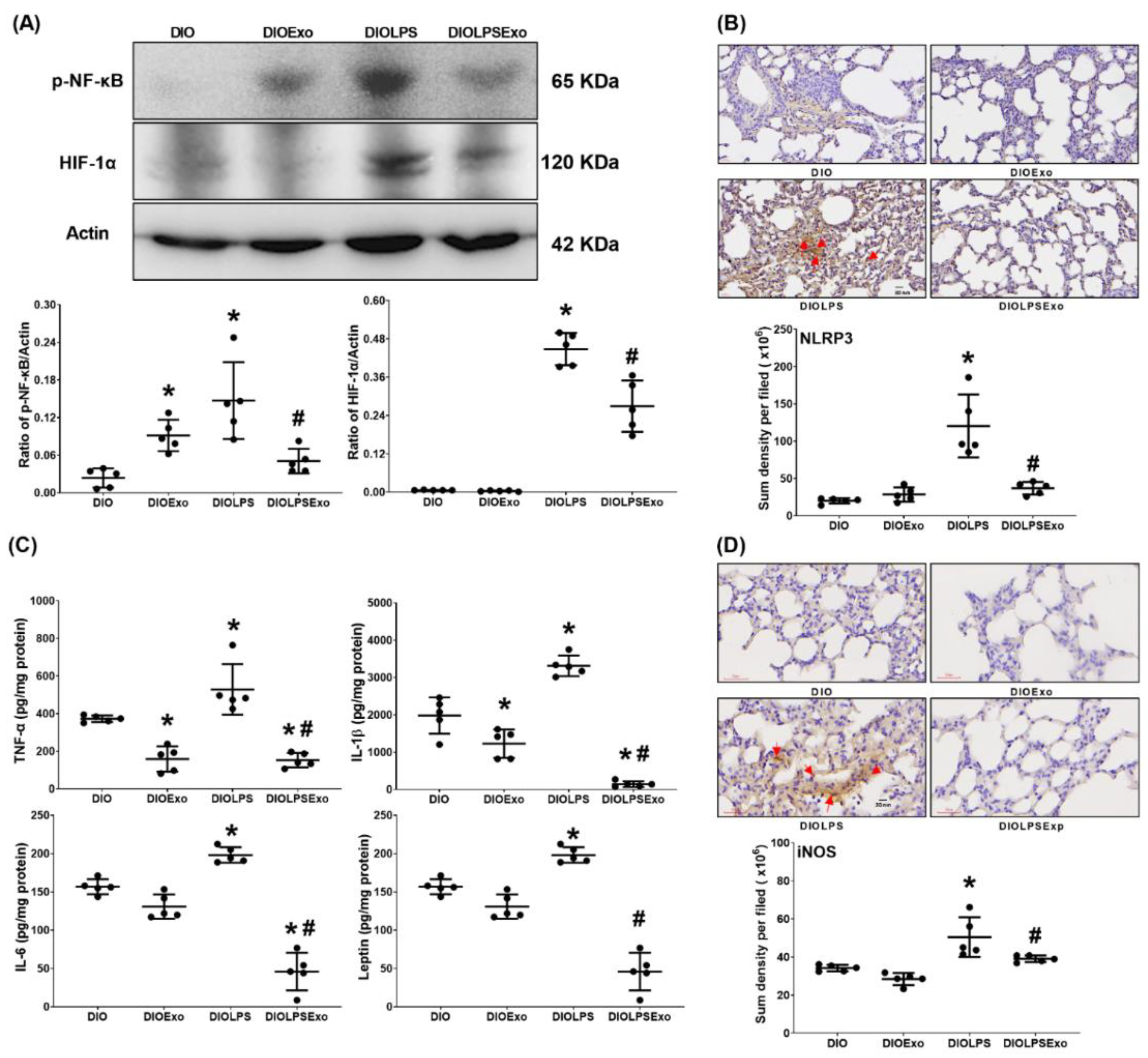 Antioxidants 11 00615 g005