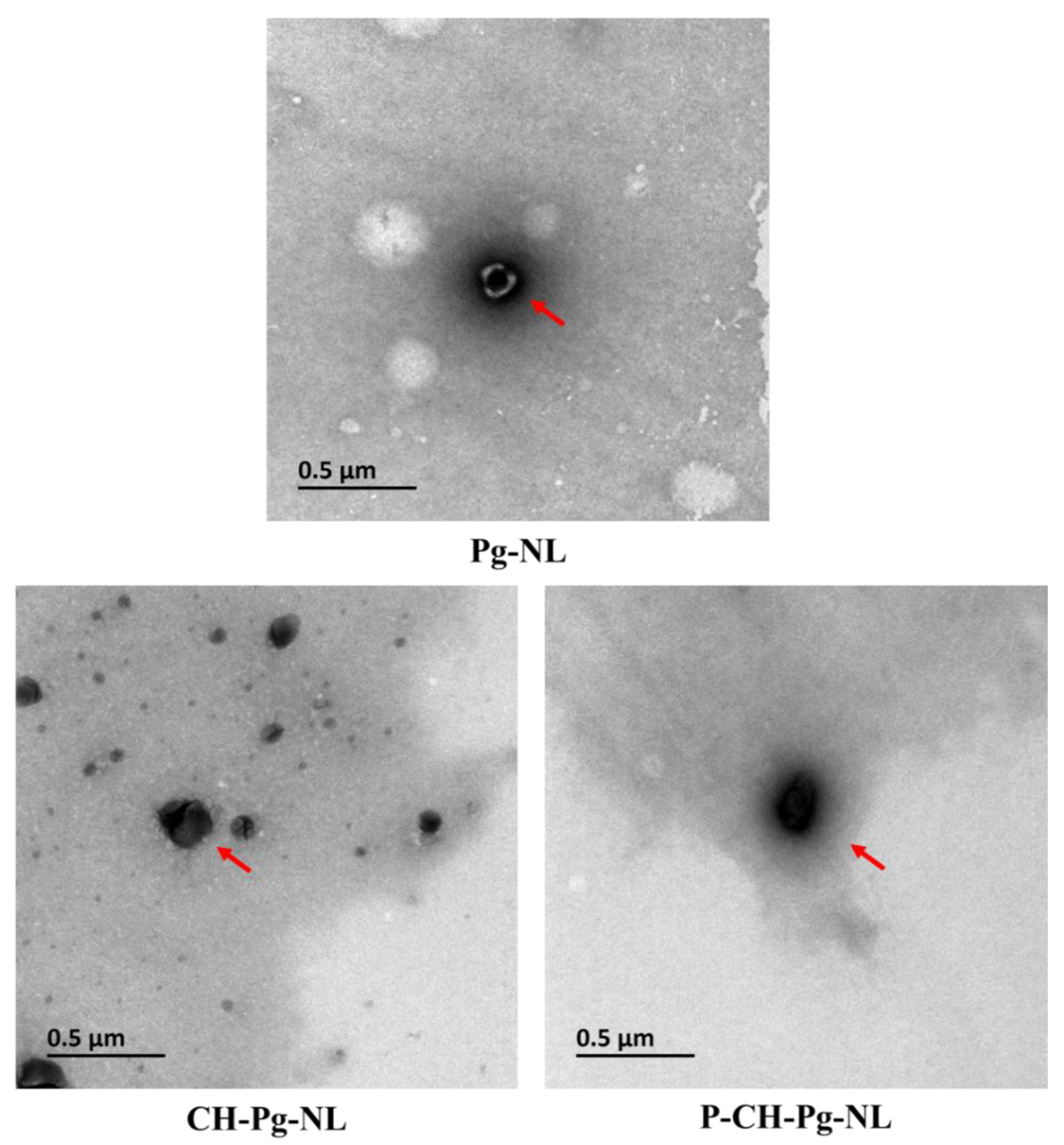 Antioxidants 11 00623 g001