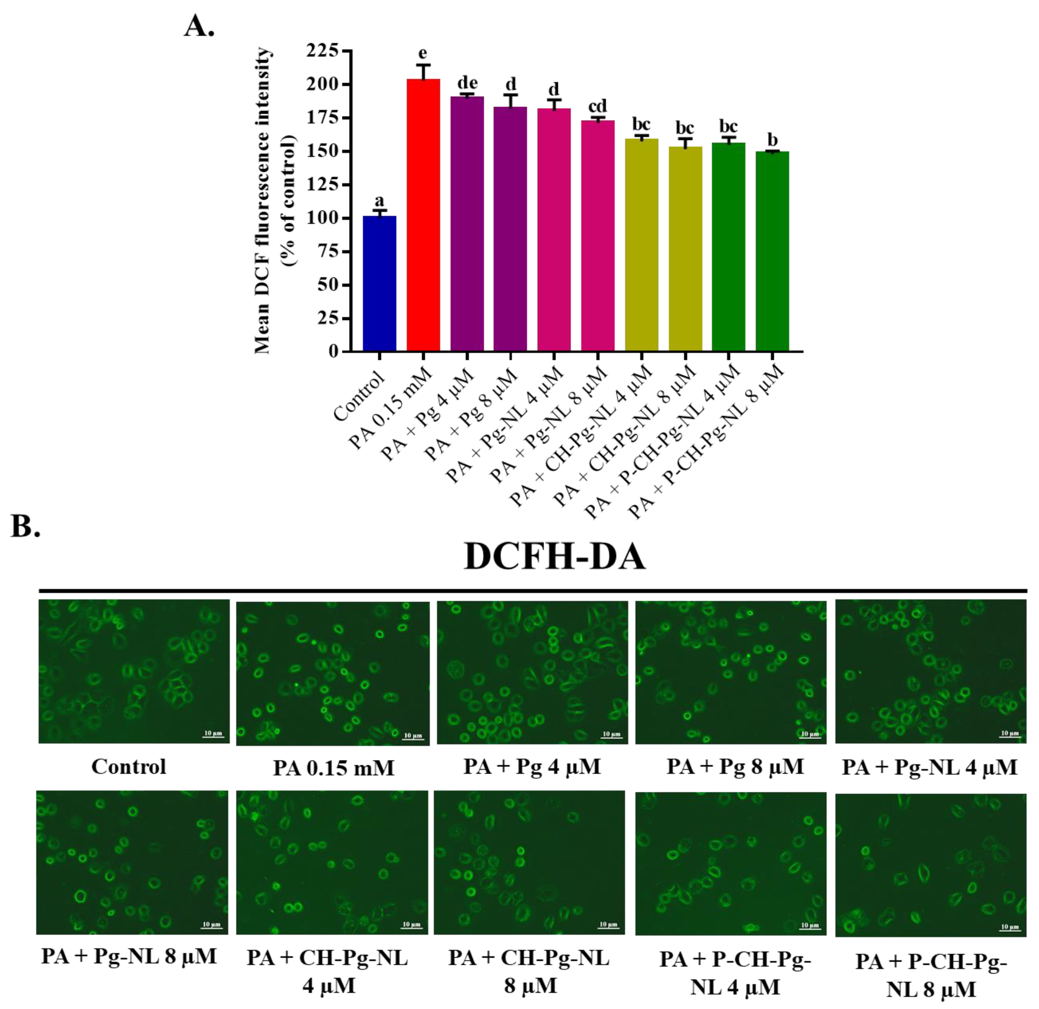 Antioxidants 11 00623 g004