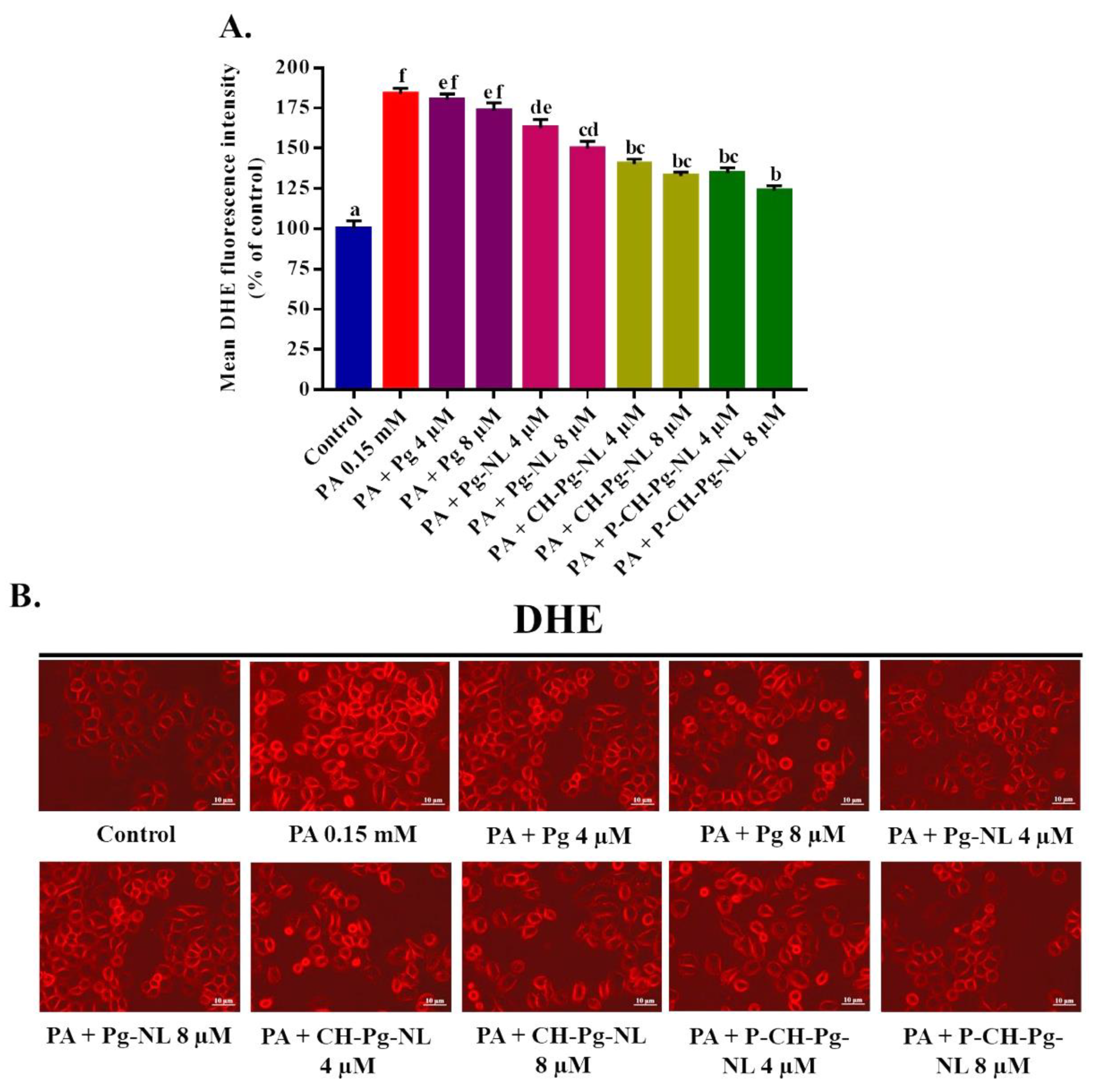 Antioxidants 11 00623 g005