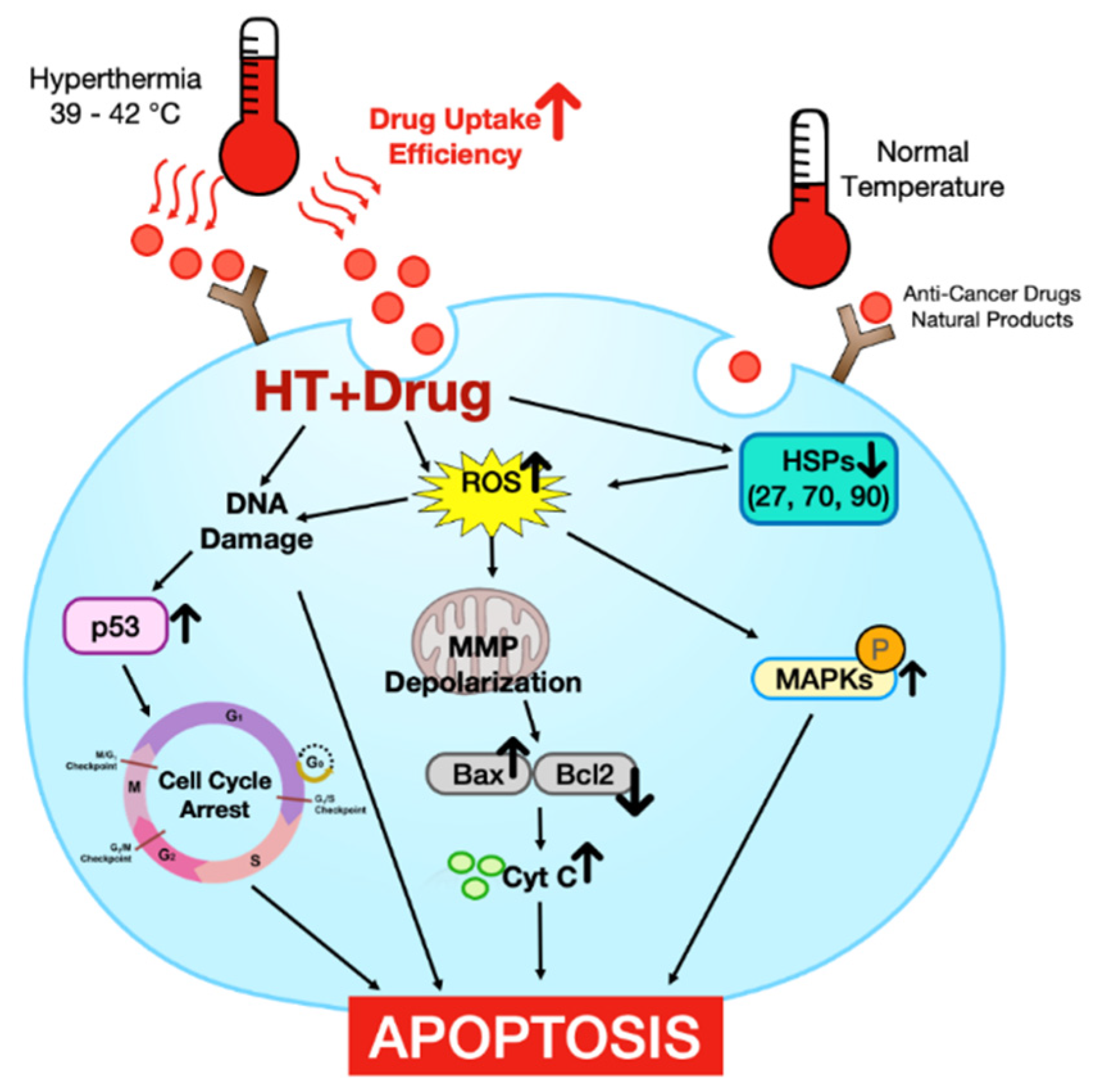 Antioxidants 11 00625 g001