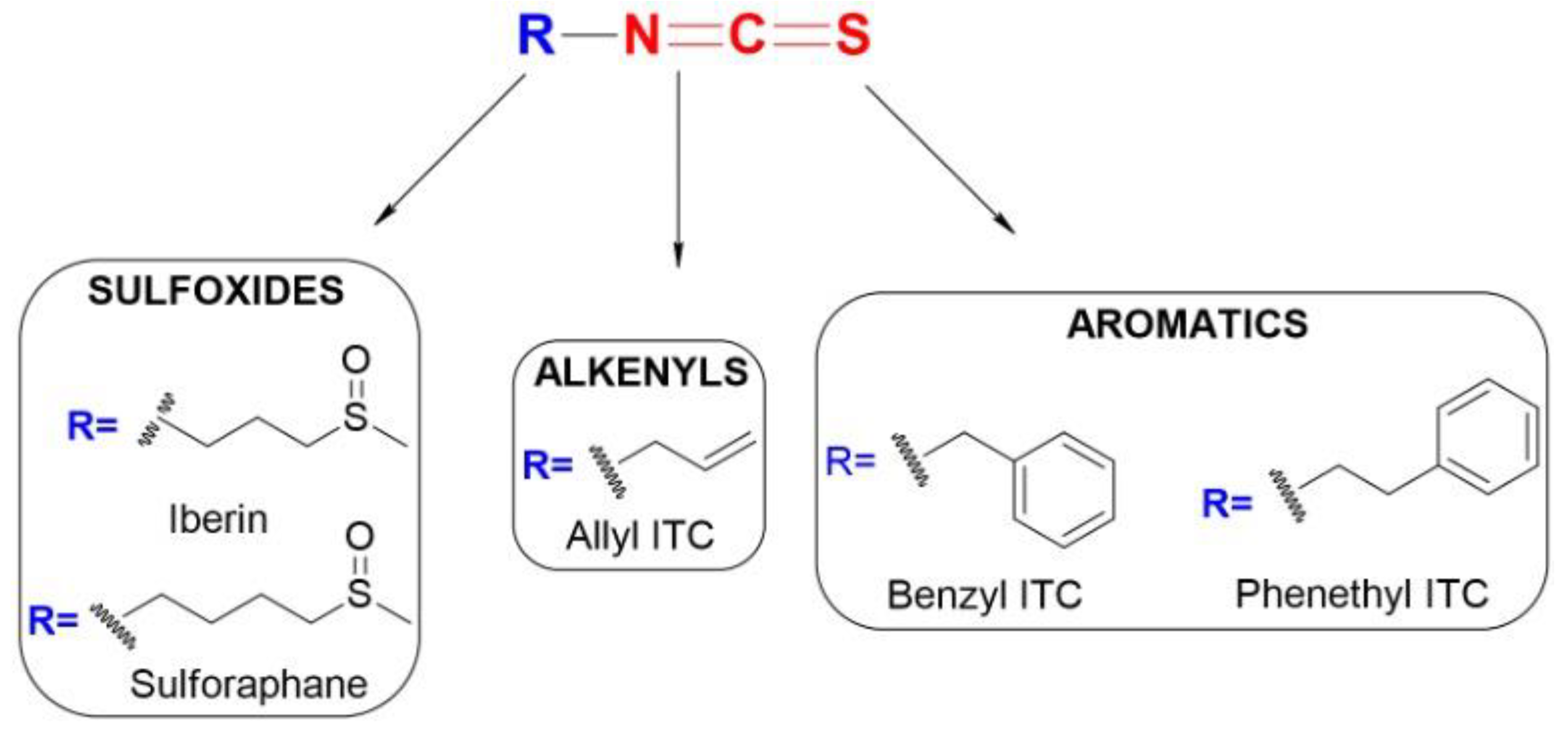 Antioxidants 11 00642 g001