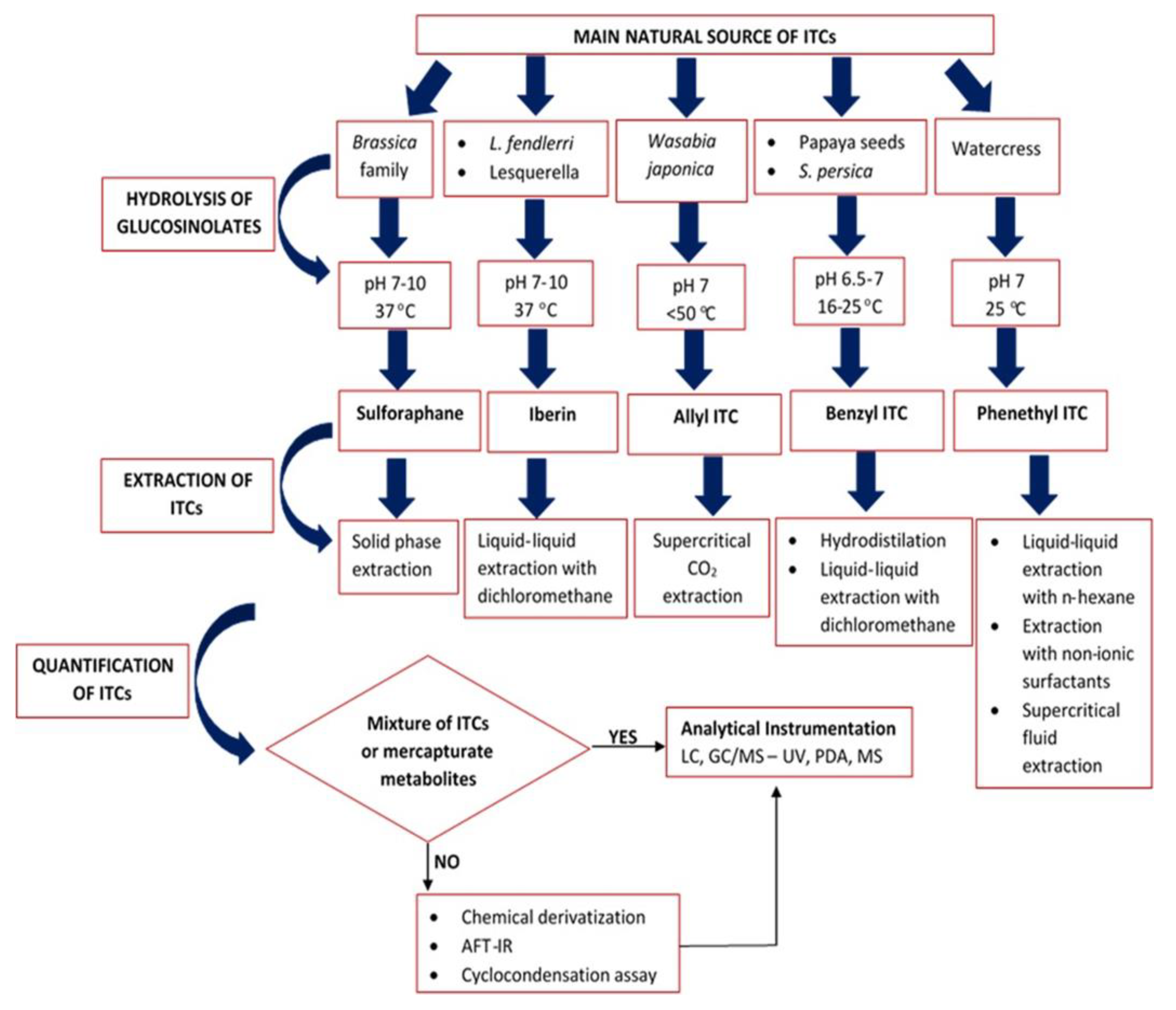 Antioxidants 11 00642 g005