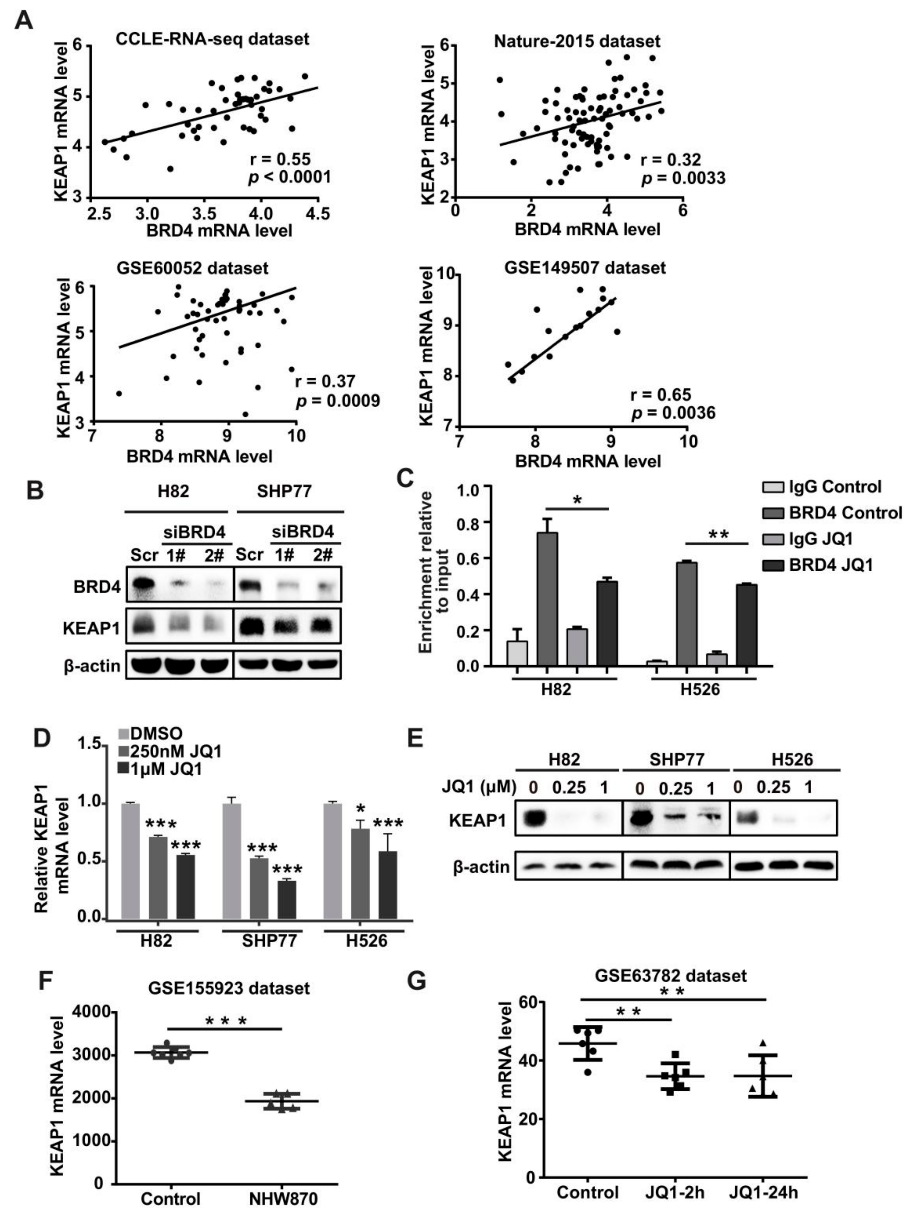 Antioxidants 11 00661 g003 Antioxidants 11 00661 g003